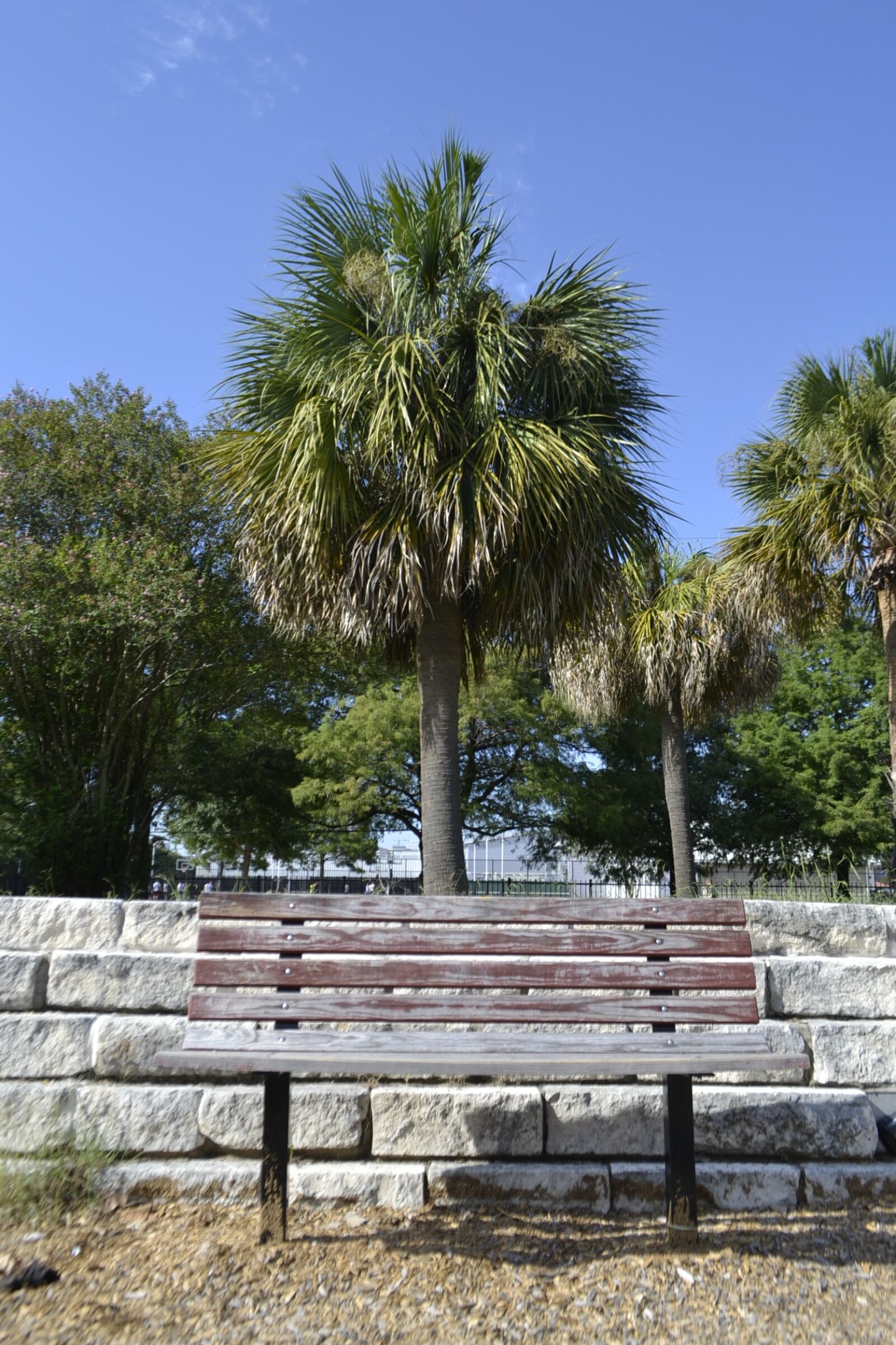 Nikon D3100 sample photo. Houston texas playground bench photography