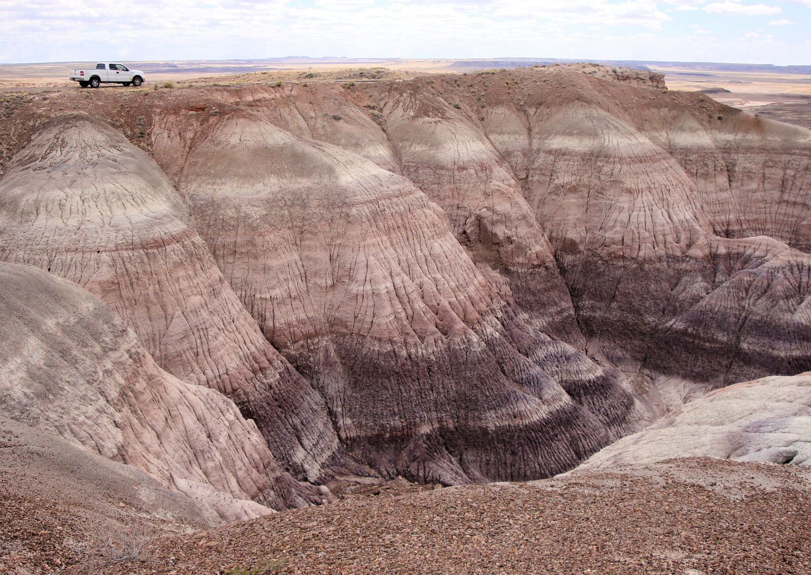 Sony Cyber-shot DSC-W150 sample photo. Petrified forest national park photography