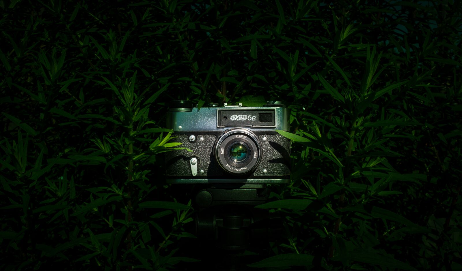 Nikon D5200 sample photo. Camera, photo, nostalgia photography