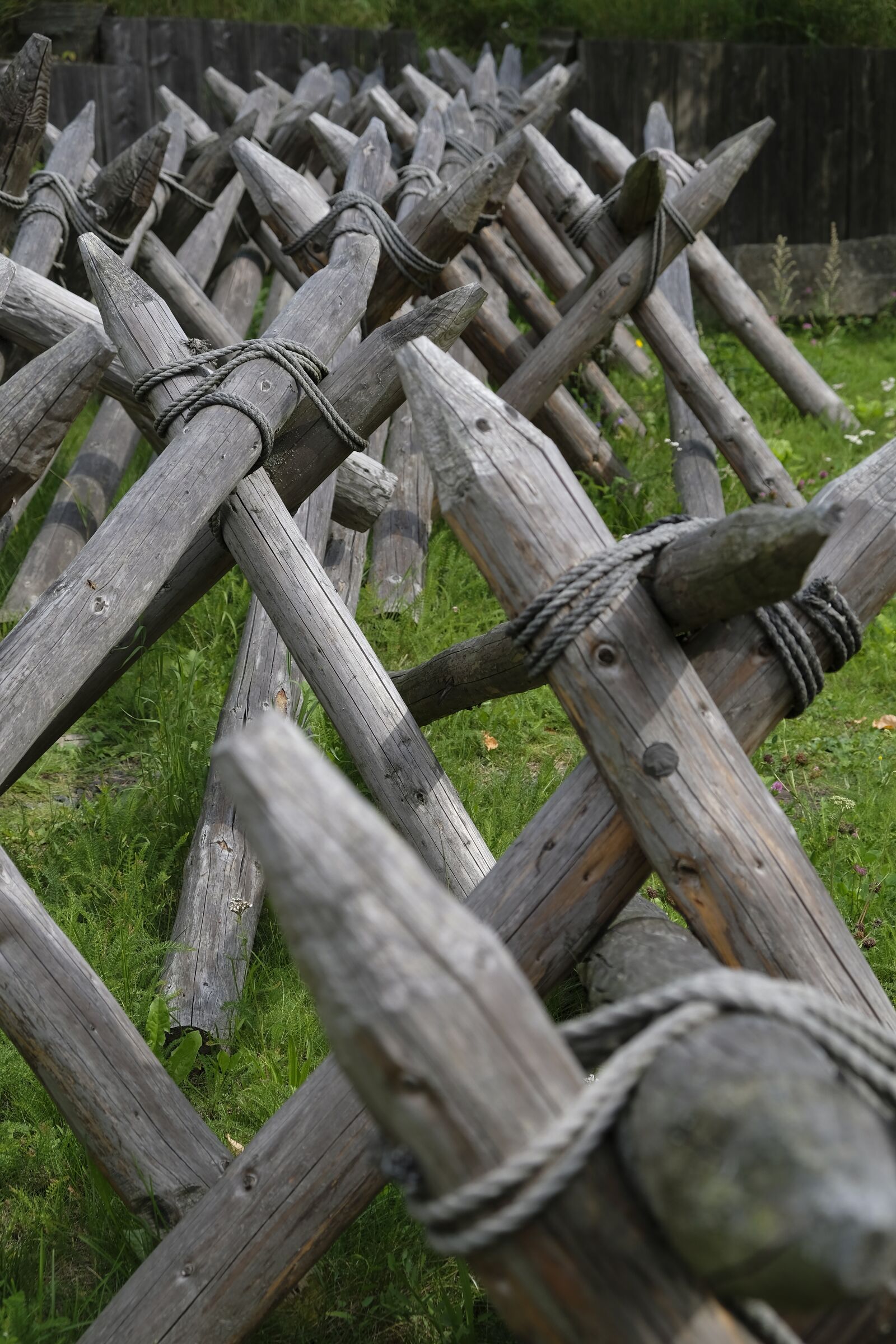 Fujifilm XF 18-55mm F2.8-4 R LM OIS sample photo. Defense, fence, protection photography