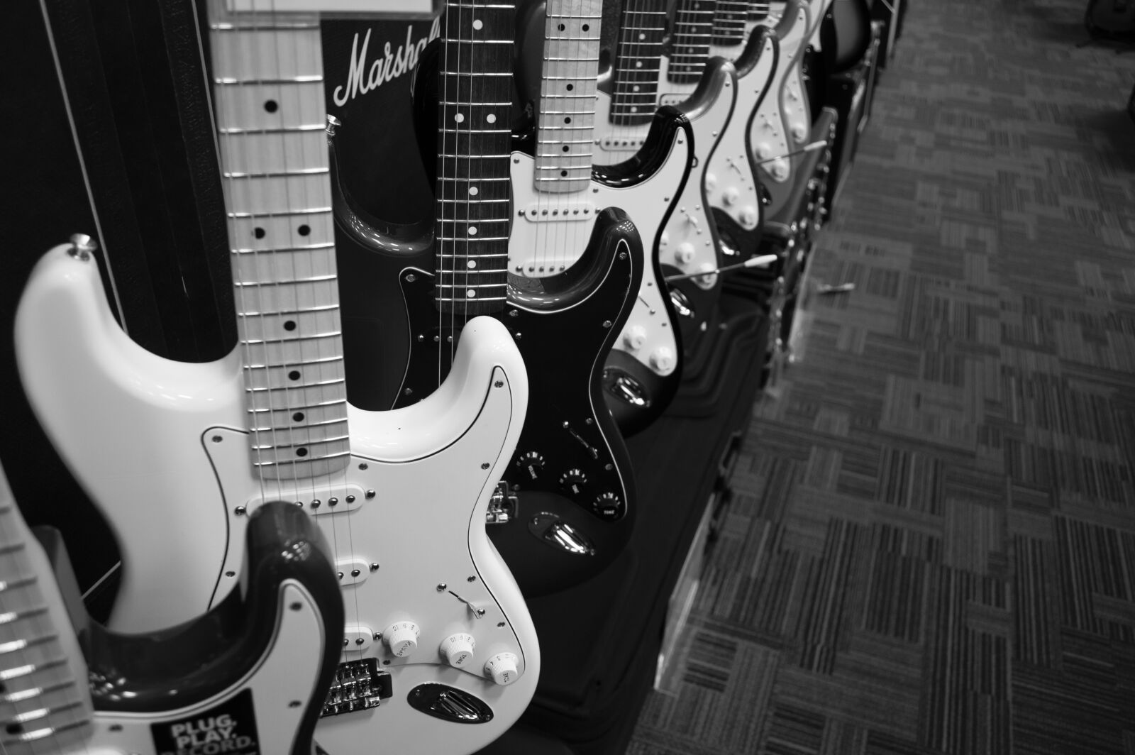 Nikon D3200 sample photo. Music, musician, musical, instrument photography