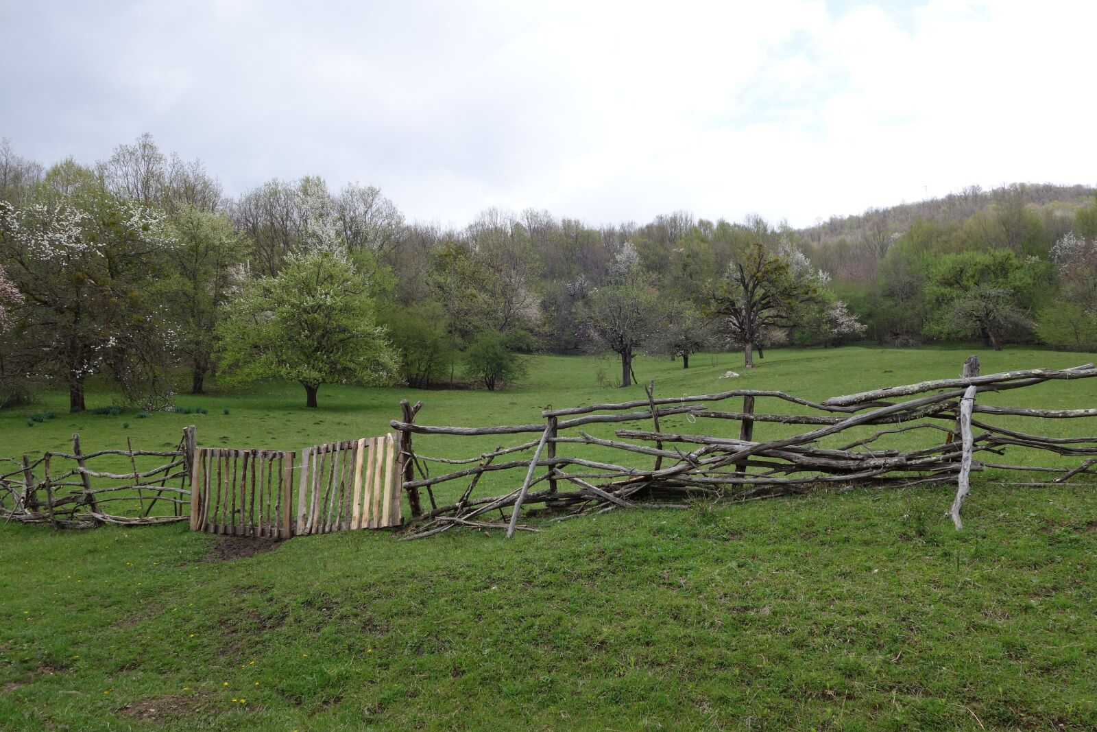 Sony Cyber-shot DSC-RX100 II sample photo. Fence, village, russia photography