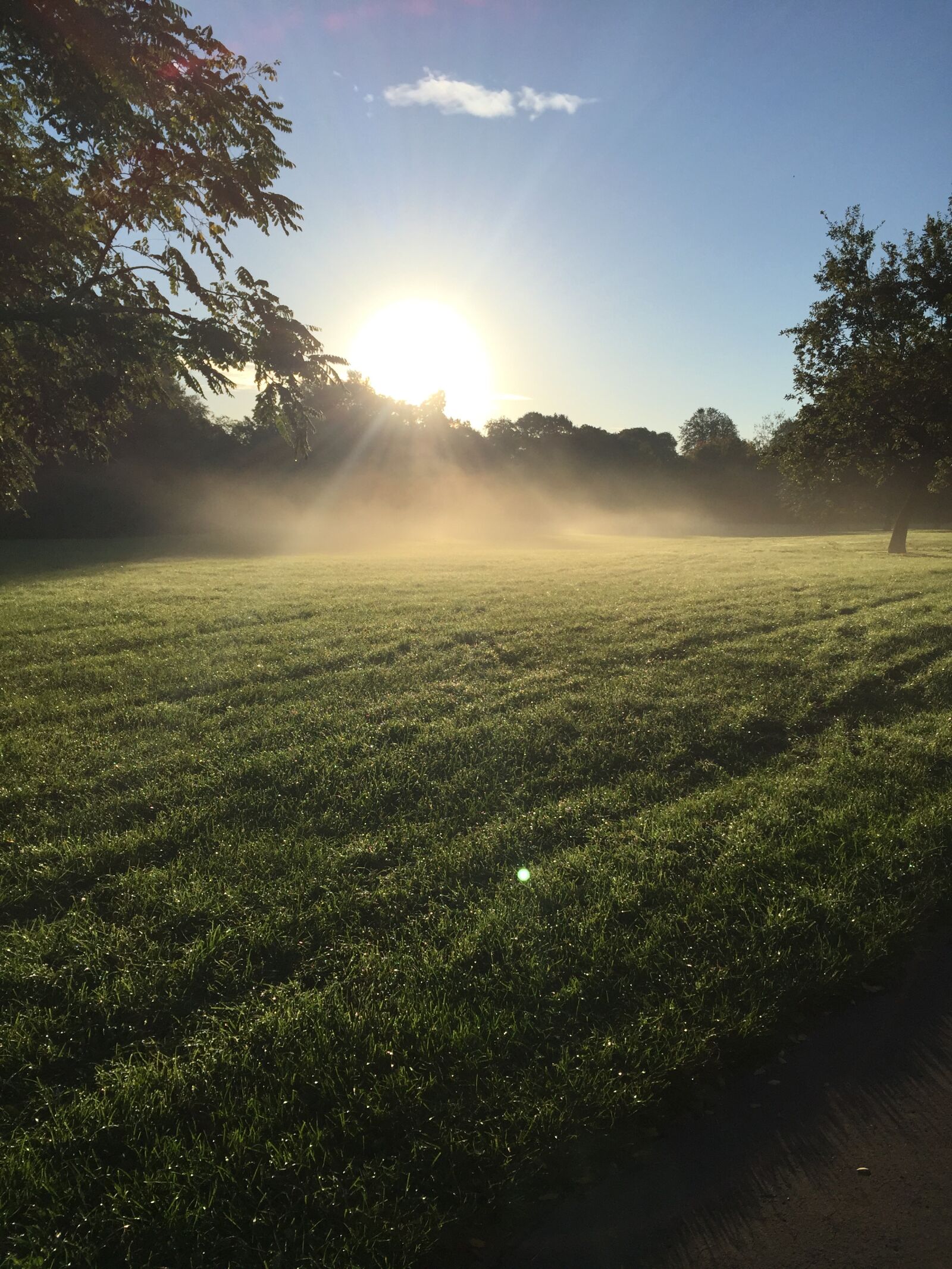 Apple iPhone 6 sample photo. Morning, mist, fog photography
