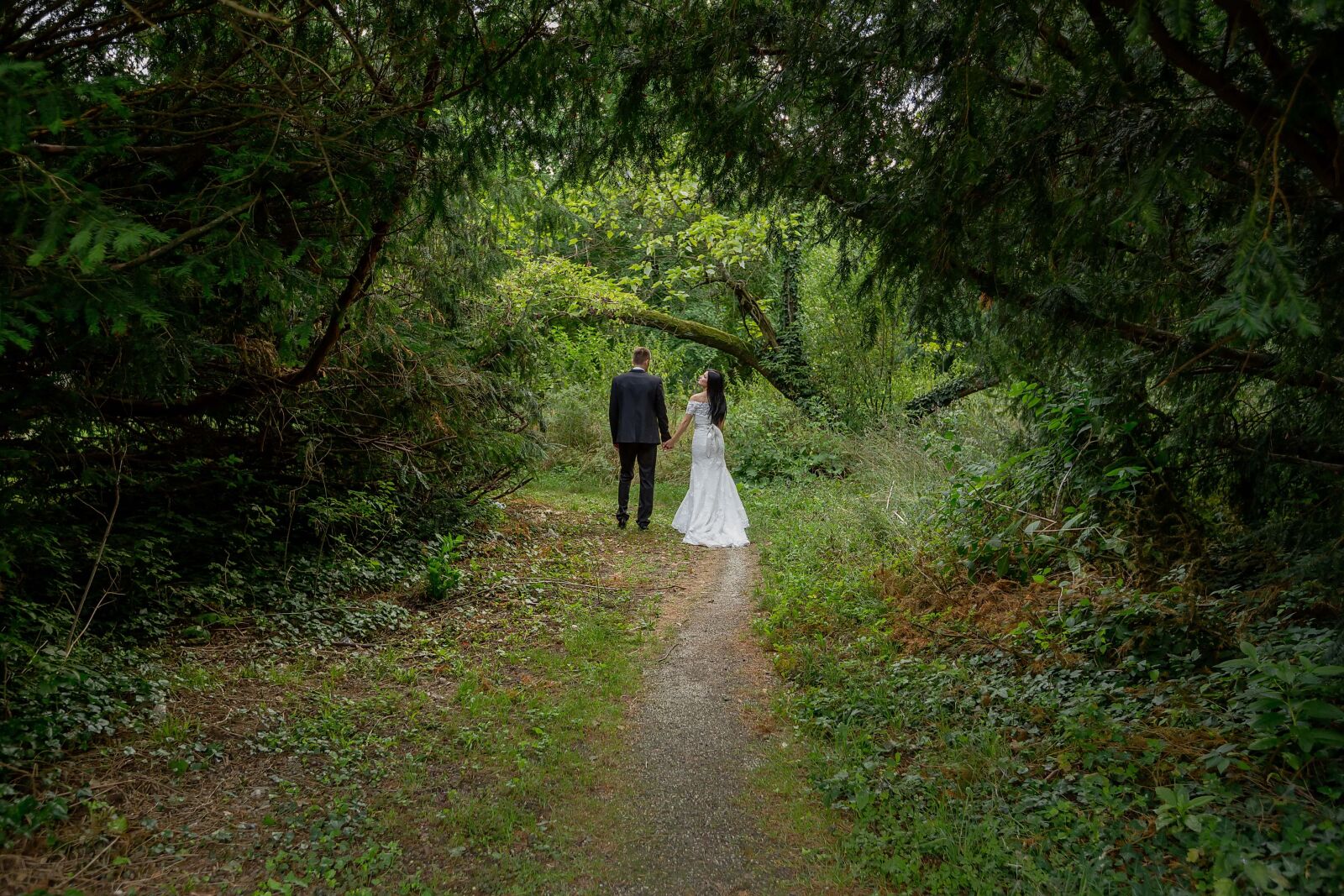 Canon EOS 5D Mark III + Canon EF 16-35mm F2.8L II USM sample photo. Forest trail, bride, groom photography