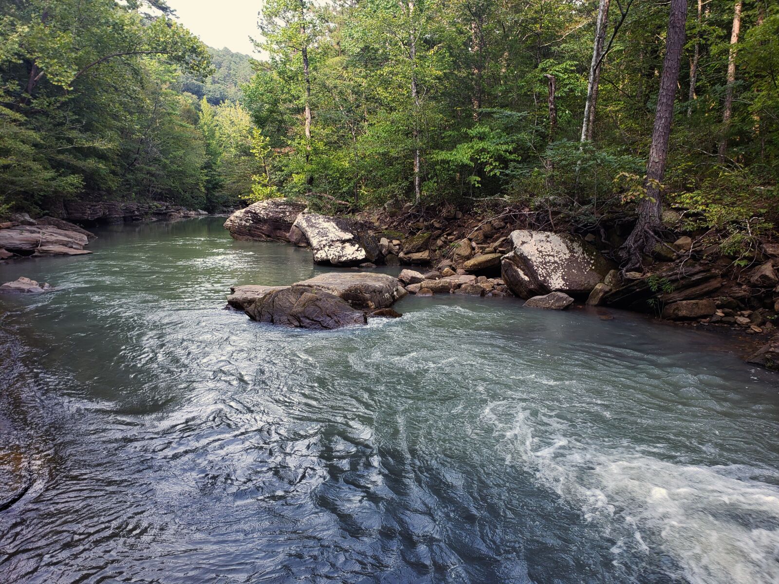 Samsung Galaxy Note9 sample photo. Stream, river, forest photography