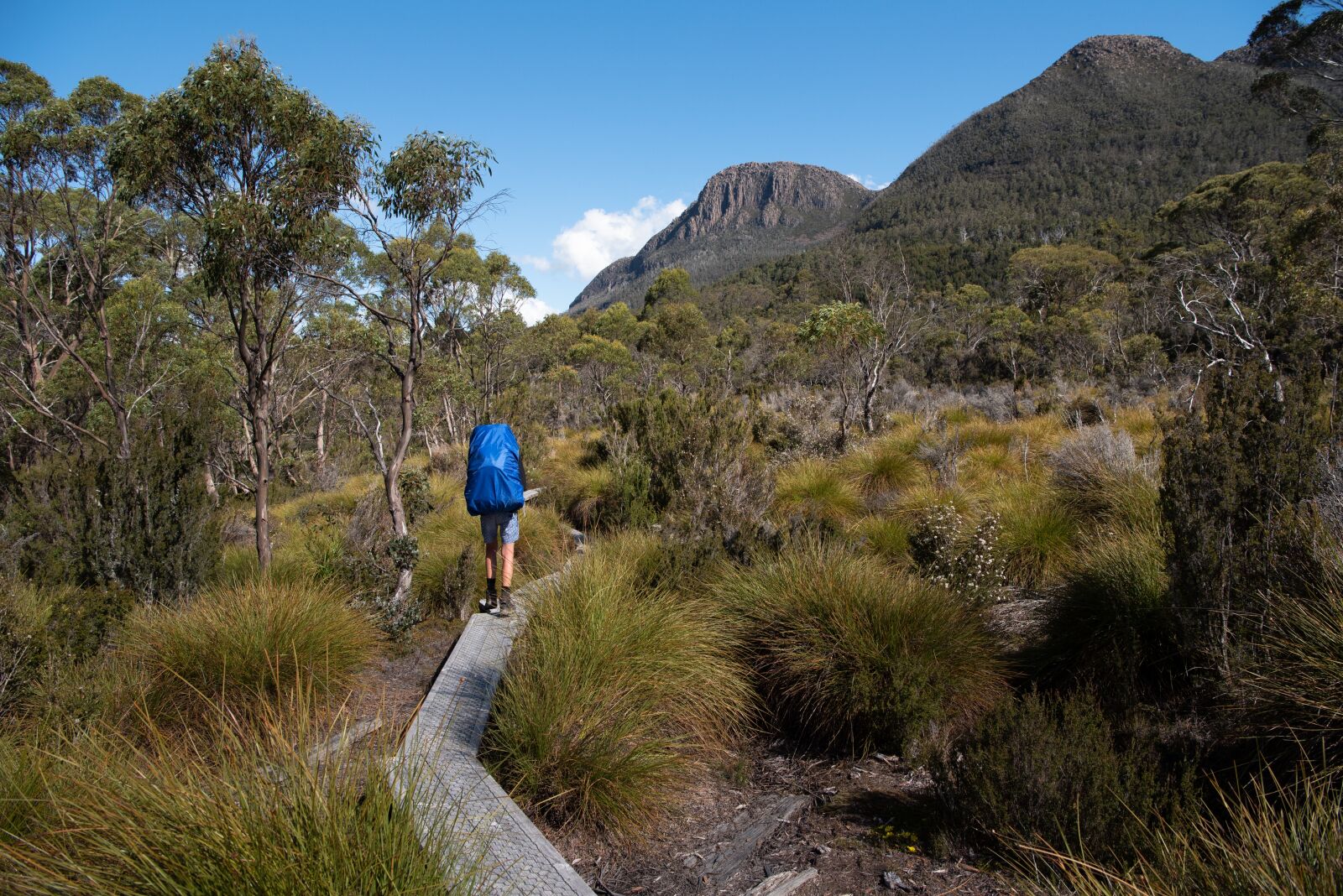 Nikon D750 sample photo. Overland track, tasmania, nature photography