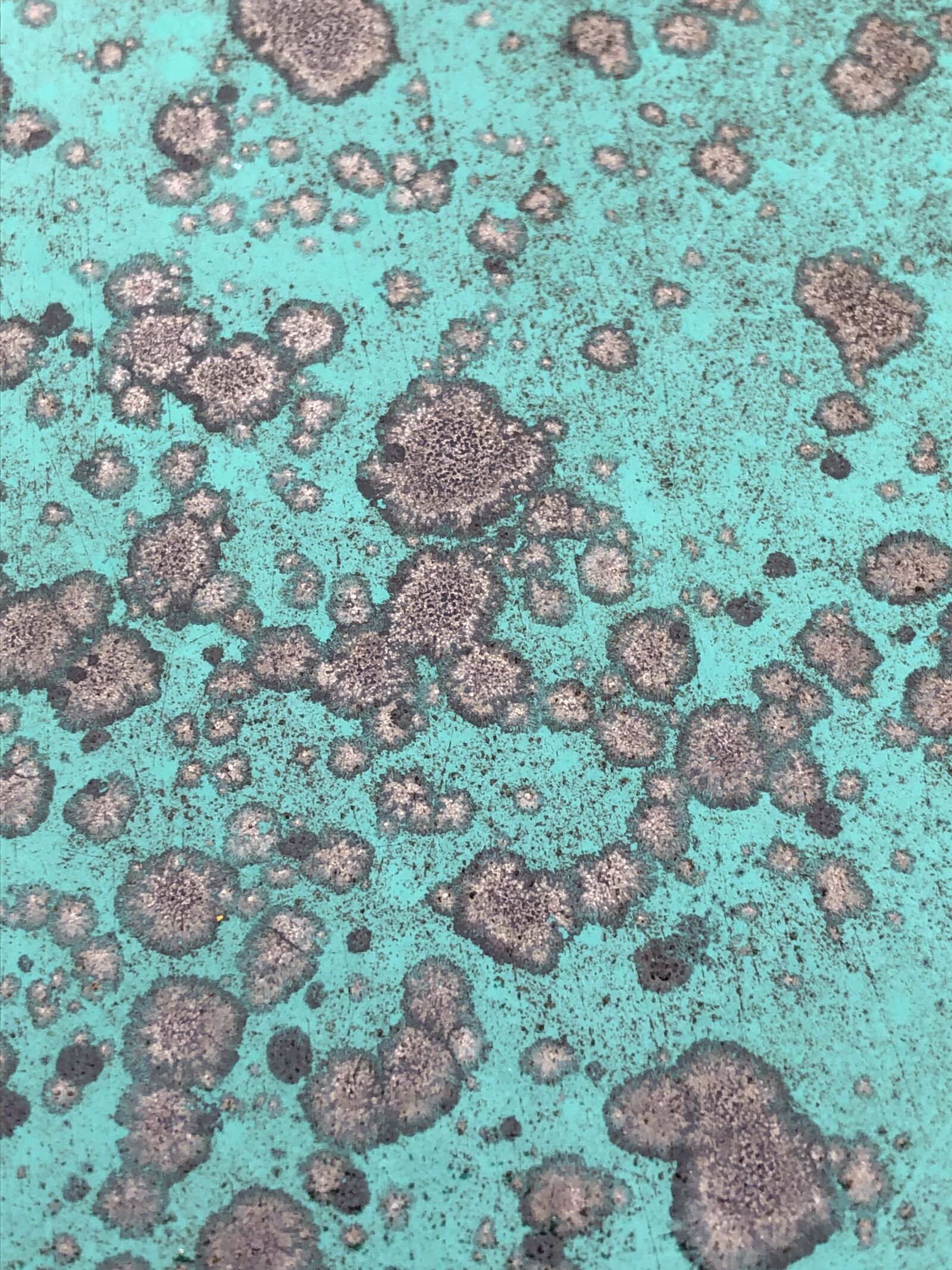 iPhone 8 back camera 3.99mm f/1.8 sample photo. Texture, teal, paint photography
