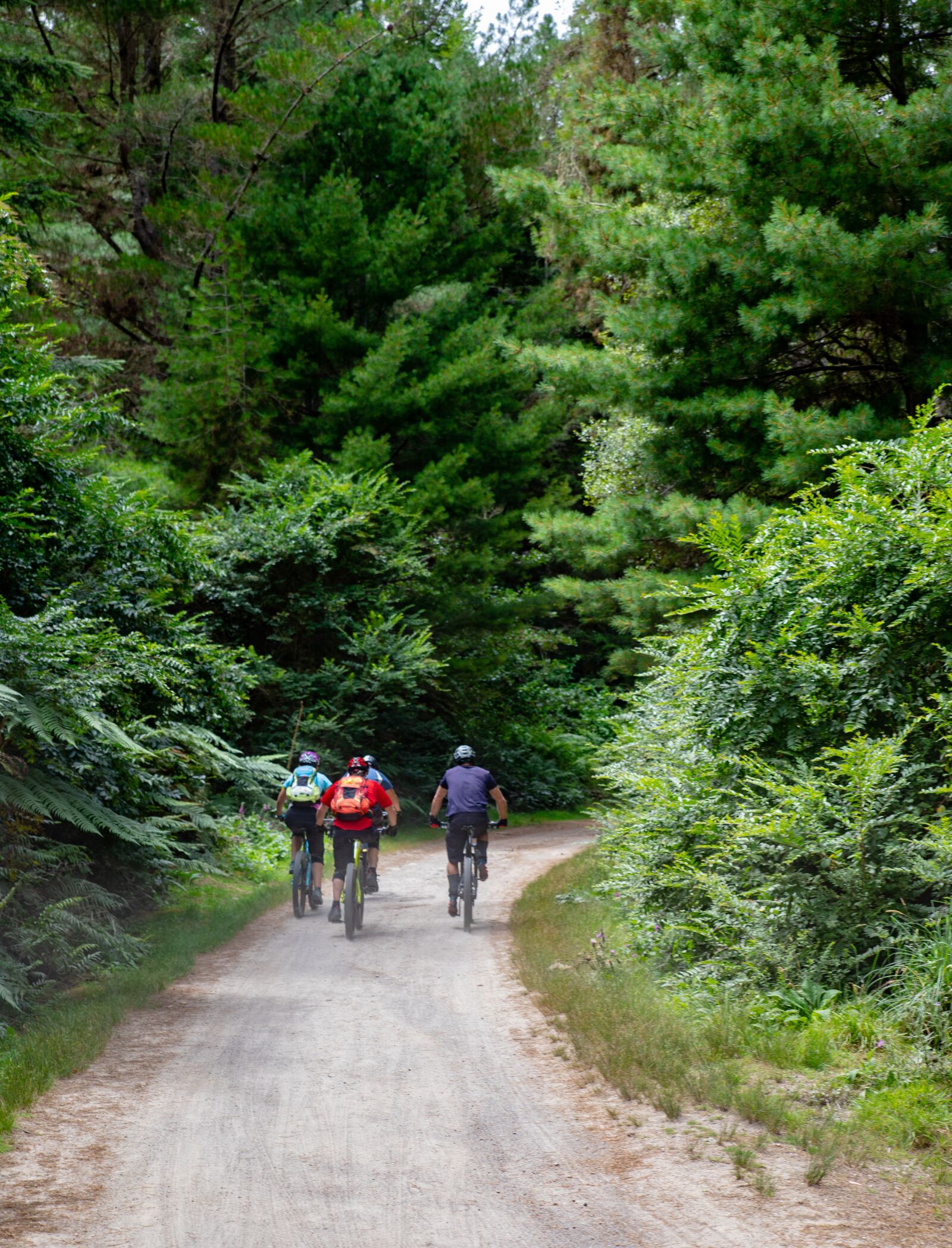 Canon EOS 6D Mark II sample photo. Mountain biking, bikes, cycling photography