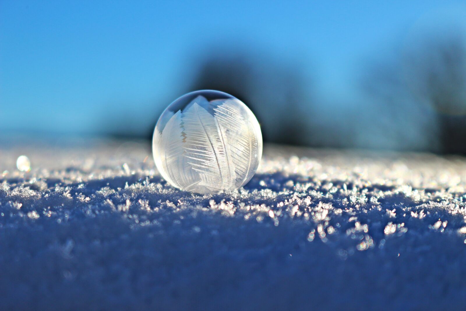 Canon EOS 100D (EOS Rebel SL1 / EOS Kiss X7) sample photo. Soap bubble, bubble, eiskristalle photography