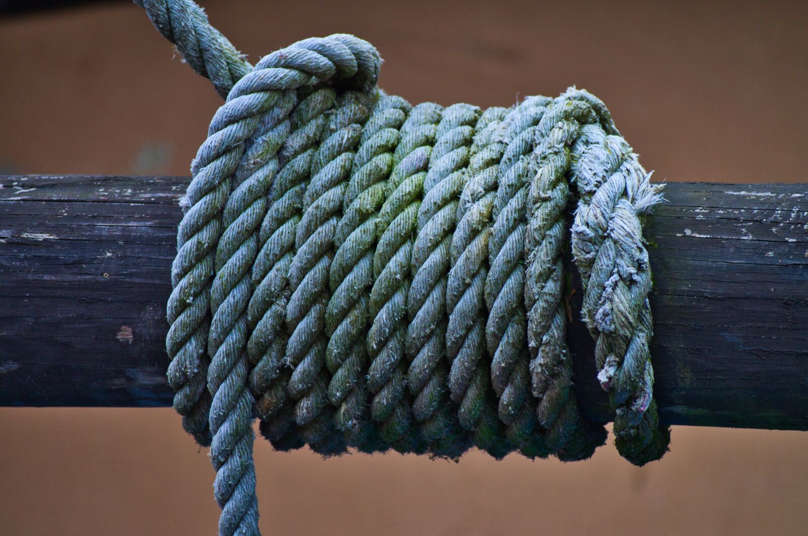 Pentax K-30 sample photo. Rope, dew, knitting photography