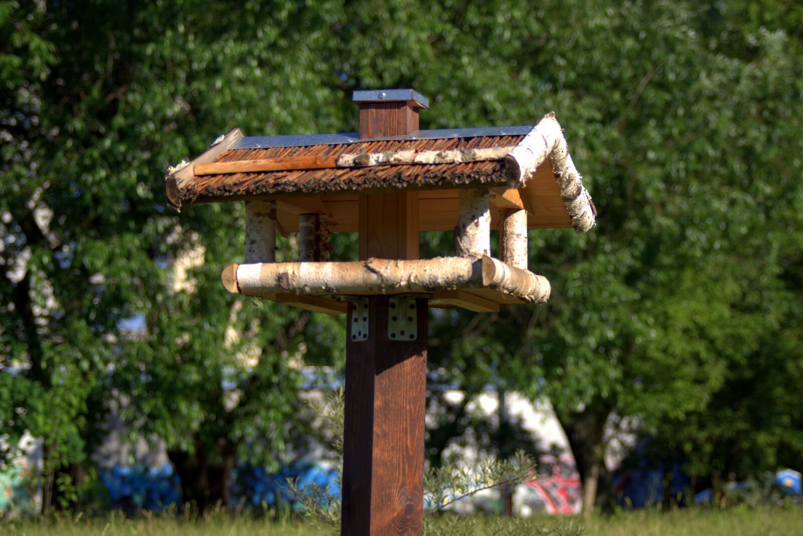 Pentax K-S2 sample photo. Bird feeding tray, shed photography