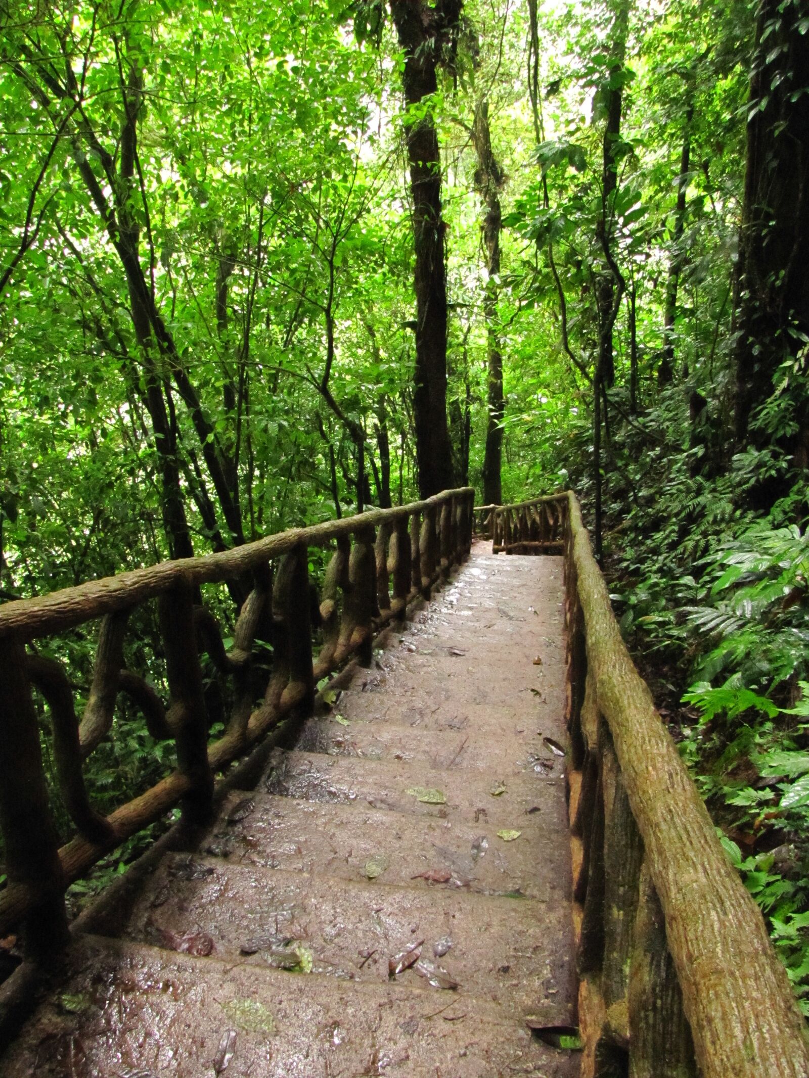 Canon PowerShot SX20 IS sample photo. Stairs, nature, celeste river photography
