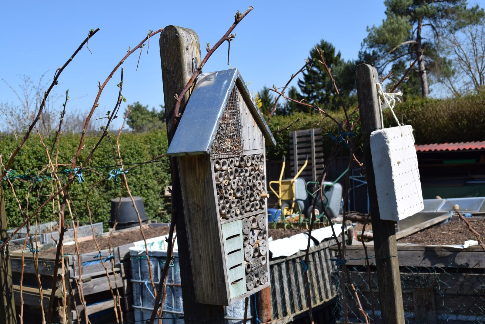 Nikon D5300 sample photo. Wood, outdoors, insectshouse photography