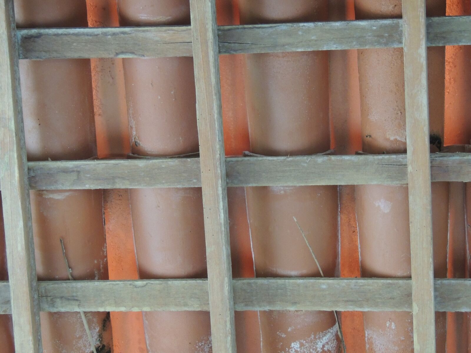 Nikon Coolpix P510 sample photo. The angles, tiles, roof photography