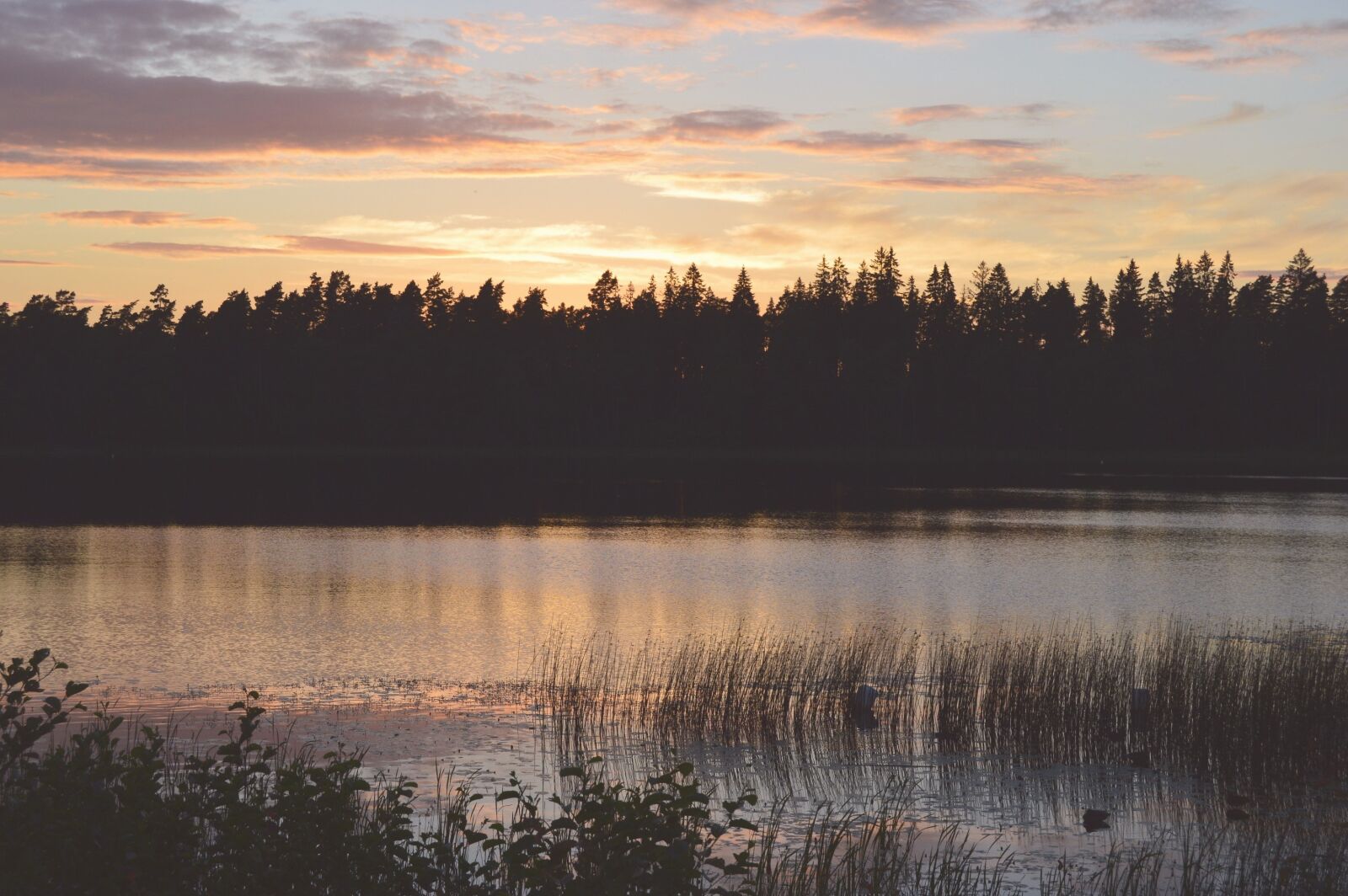 Nikon D3200 sample photo. Lake, sweden, outdoor photography