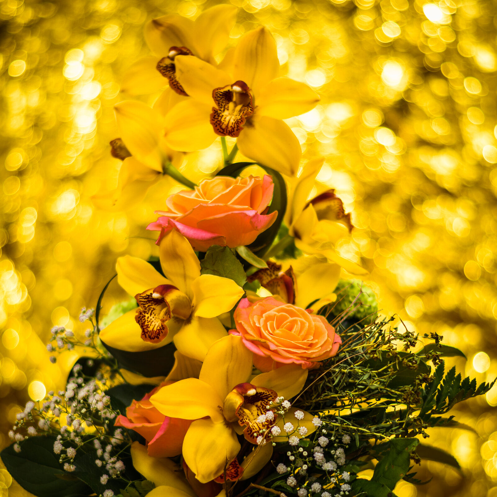 Nikon AF-S Nikkor 50mm F1.8G sample photo. Bokeh, bunch, of, flowers photography