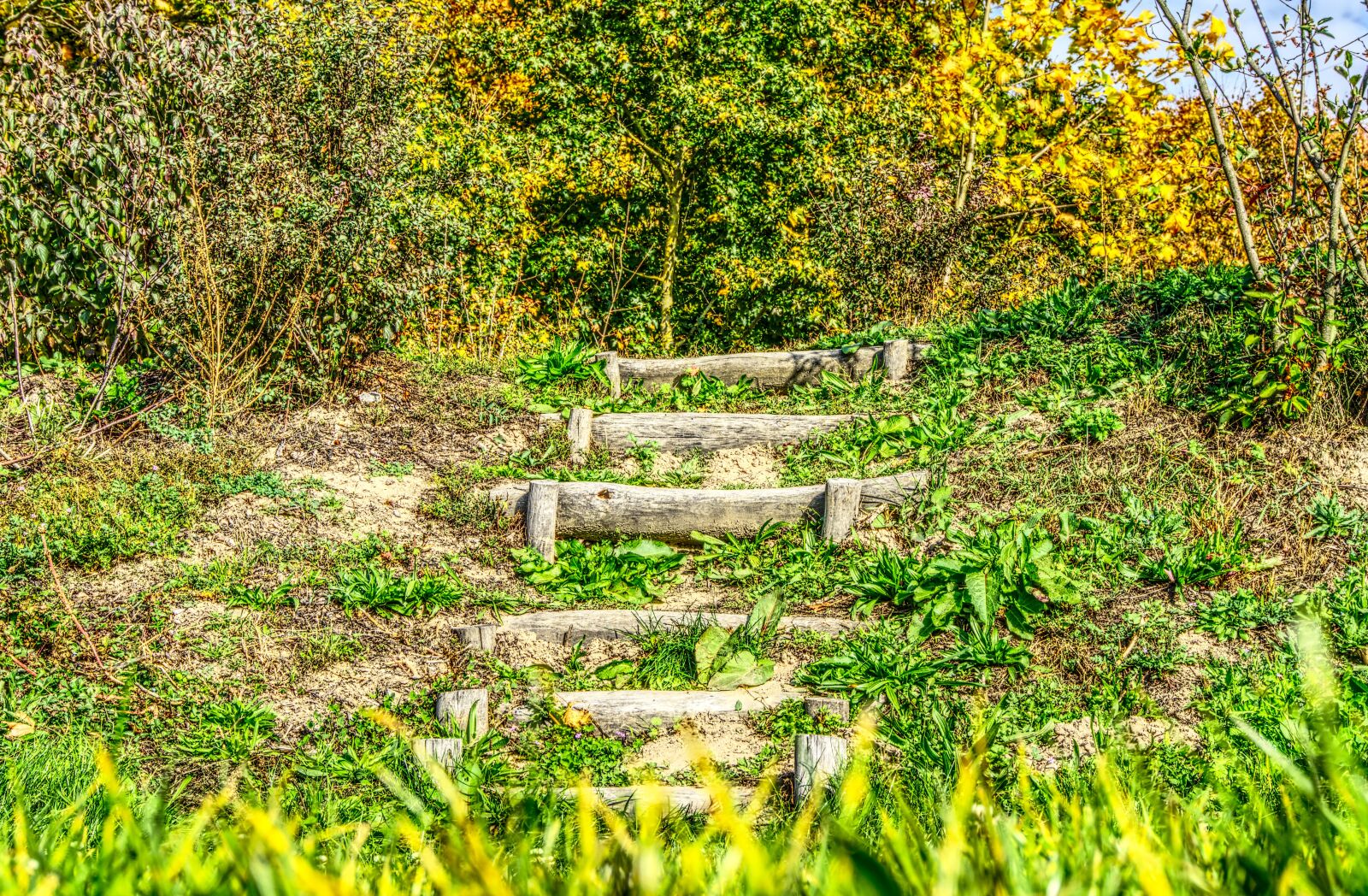 Sony E 16-50mm F3.5-5.6 PZ OSS sample photo. Stairs, green, green area photography