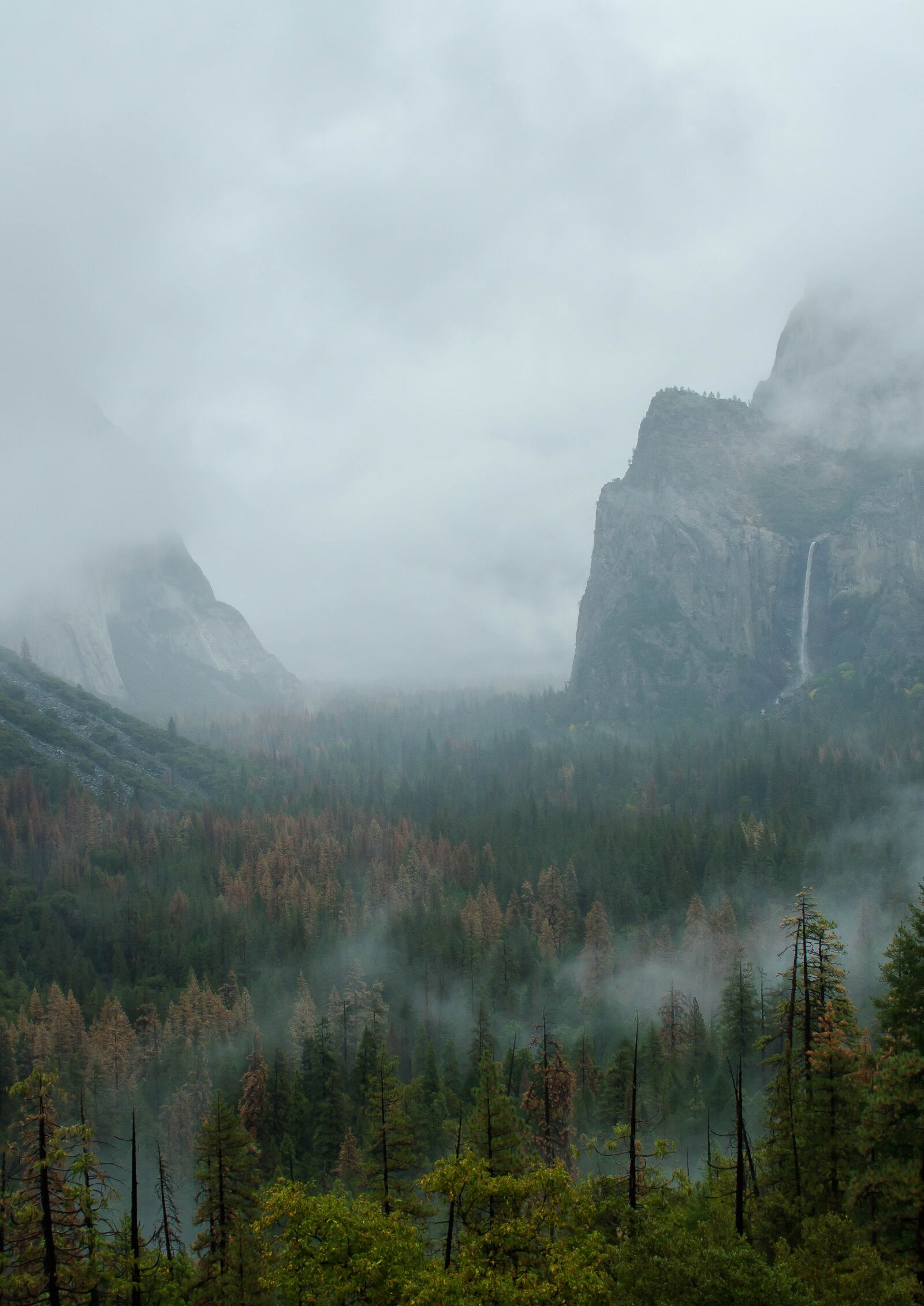 Canon EOS 550D (EOS Rebel T2i / EOS Kiss X4) sample photo. Yosemite, lookout, mountains photography