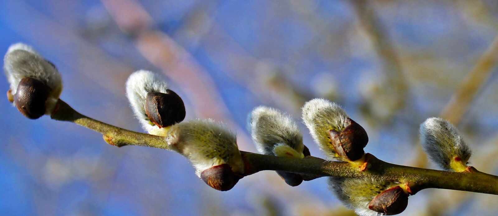 Canon EOS 550D (EOS Rebel T2i / EOS Kiss X4) sample photo. Nature, blue stone lake photography
