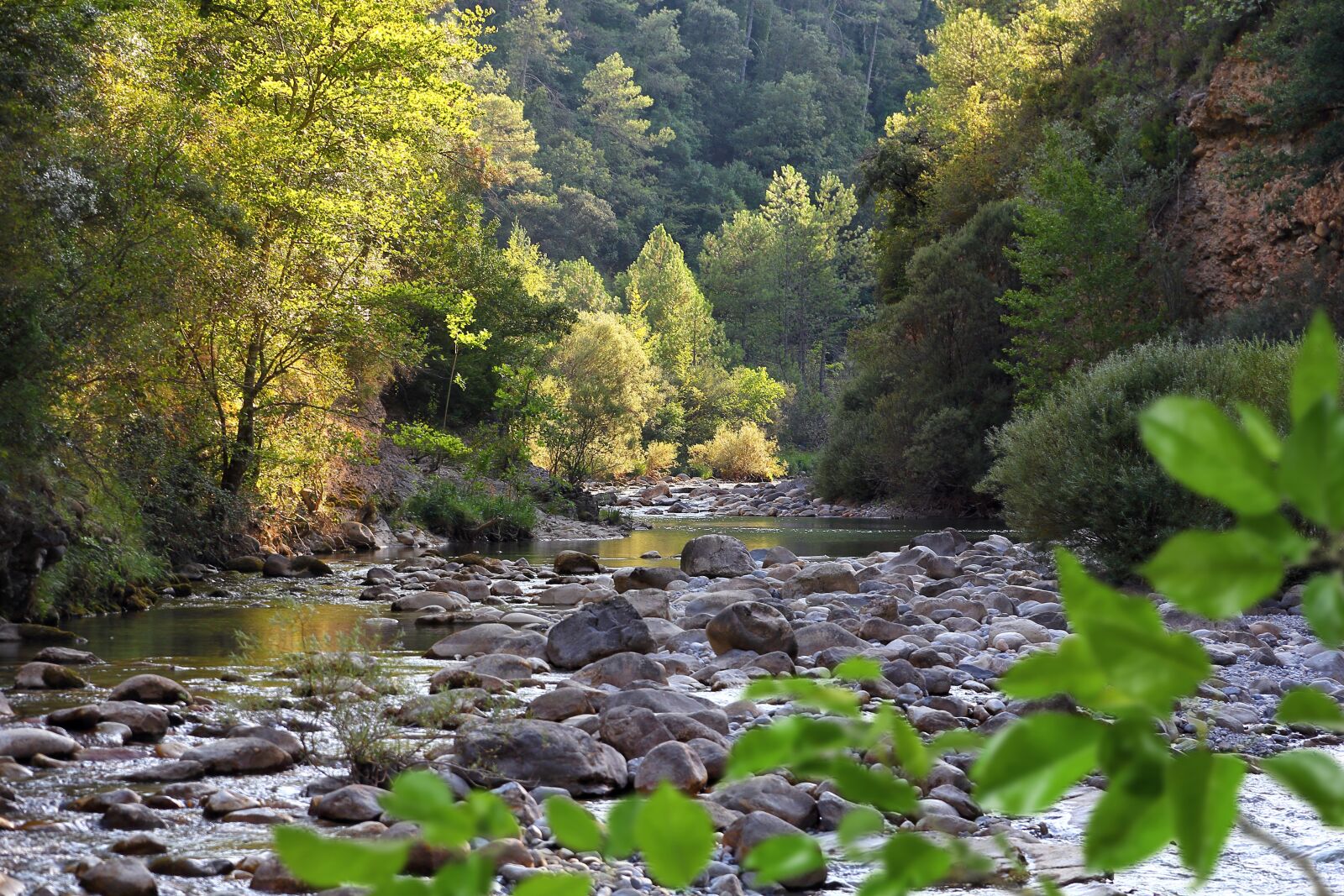 Canon EOS 60D sample photo. River, backwater, summer photography