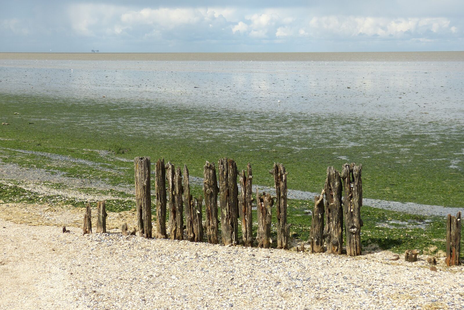 Panasonic Lumix DMC-FZ150 sample photo. Sea, netherlands, north sea photography