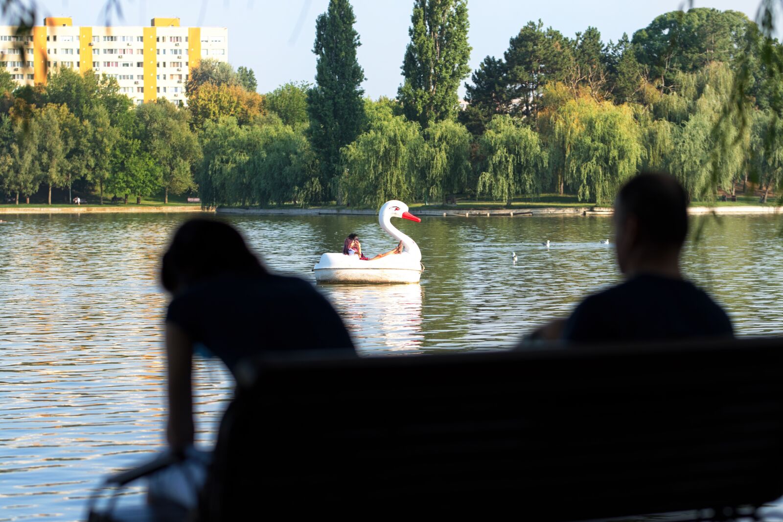 Nikon D5300 sample photo. Landscape, lake, park photography