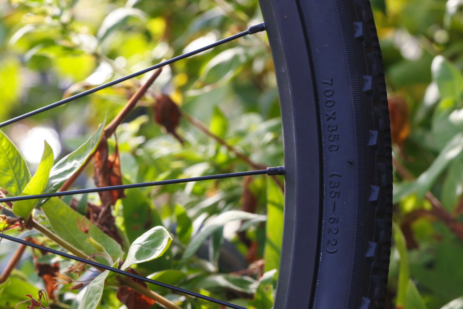 Canon EOS 7D Mark II sample photo. Wheel, growth, cycle photography