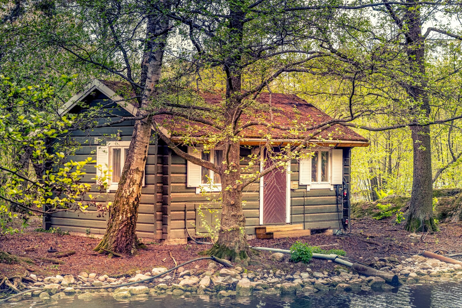 Canon EOS 60D + Canon EF 50mm F1.8 II sample photo. House, old, forest photography