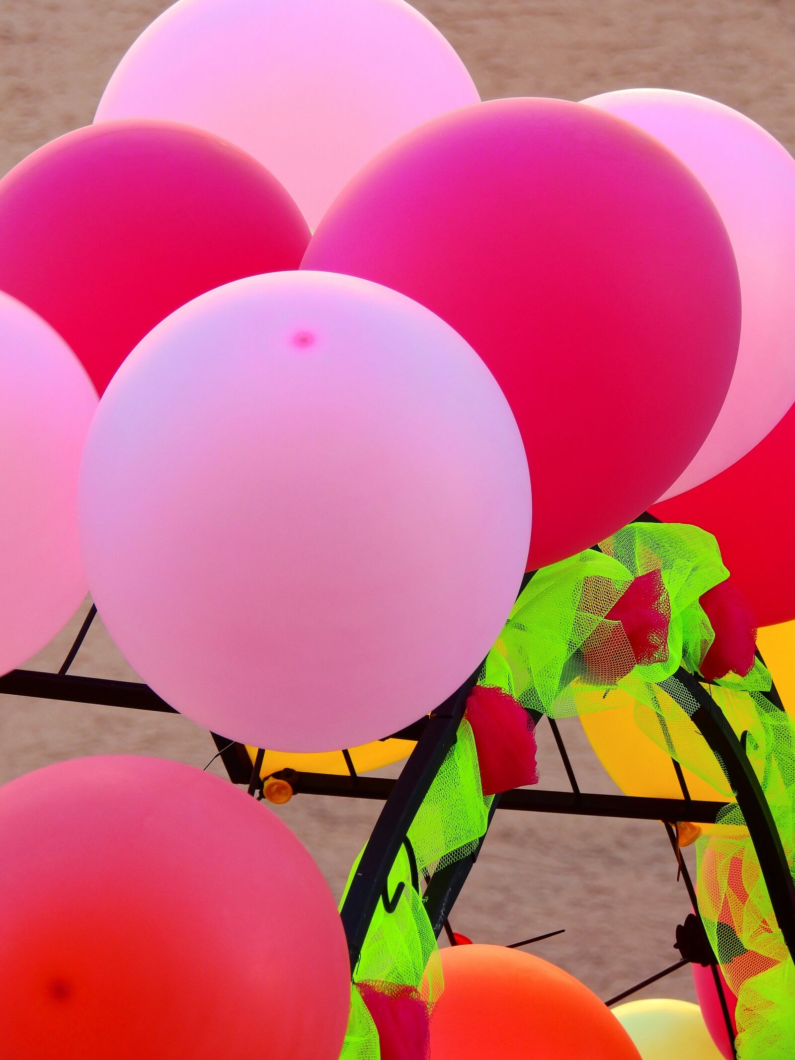 Nikon Coolpix P900 sample photo. Balloon, pink, party photography