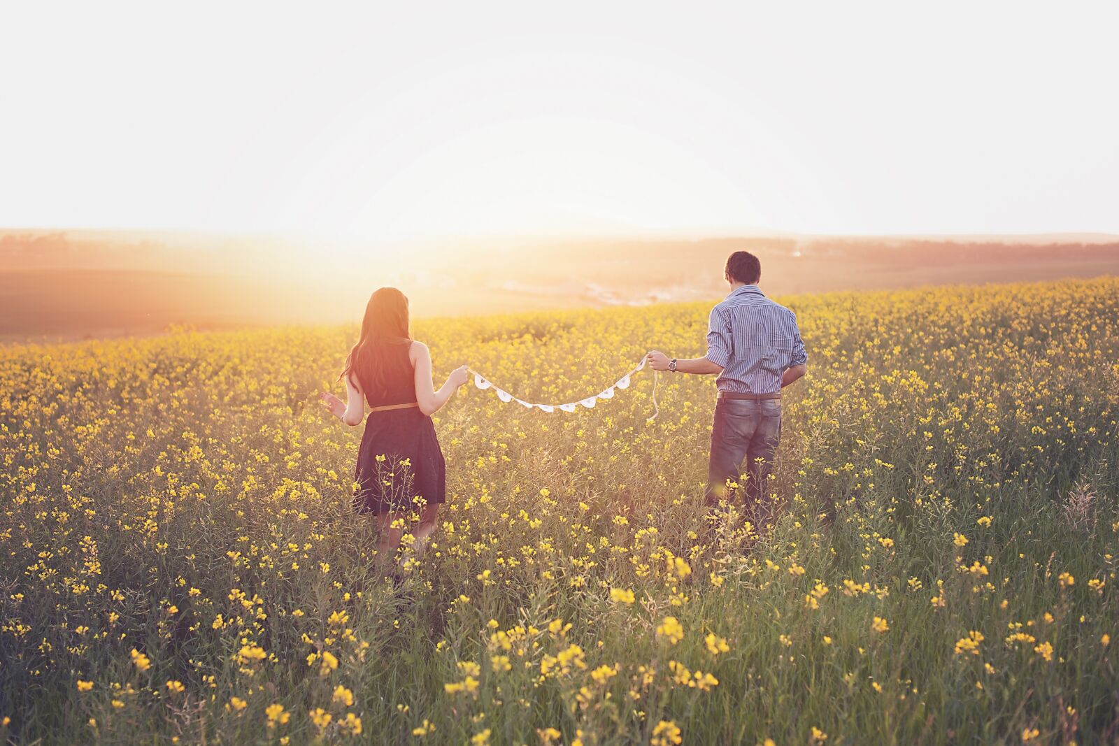 Nikon D700 sample photo. Canola, couple, field photography