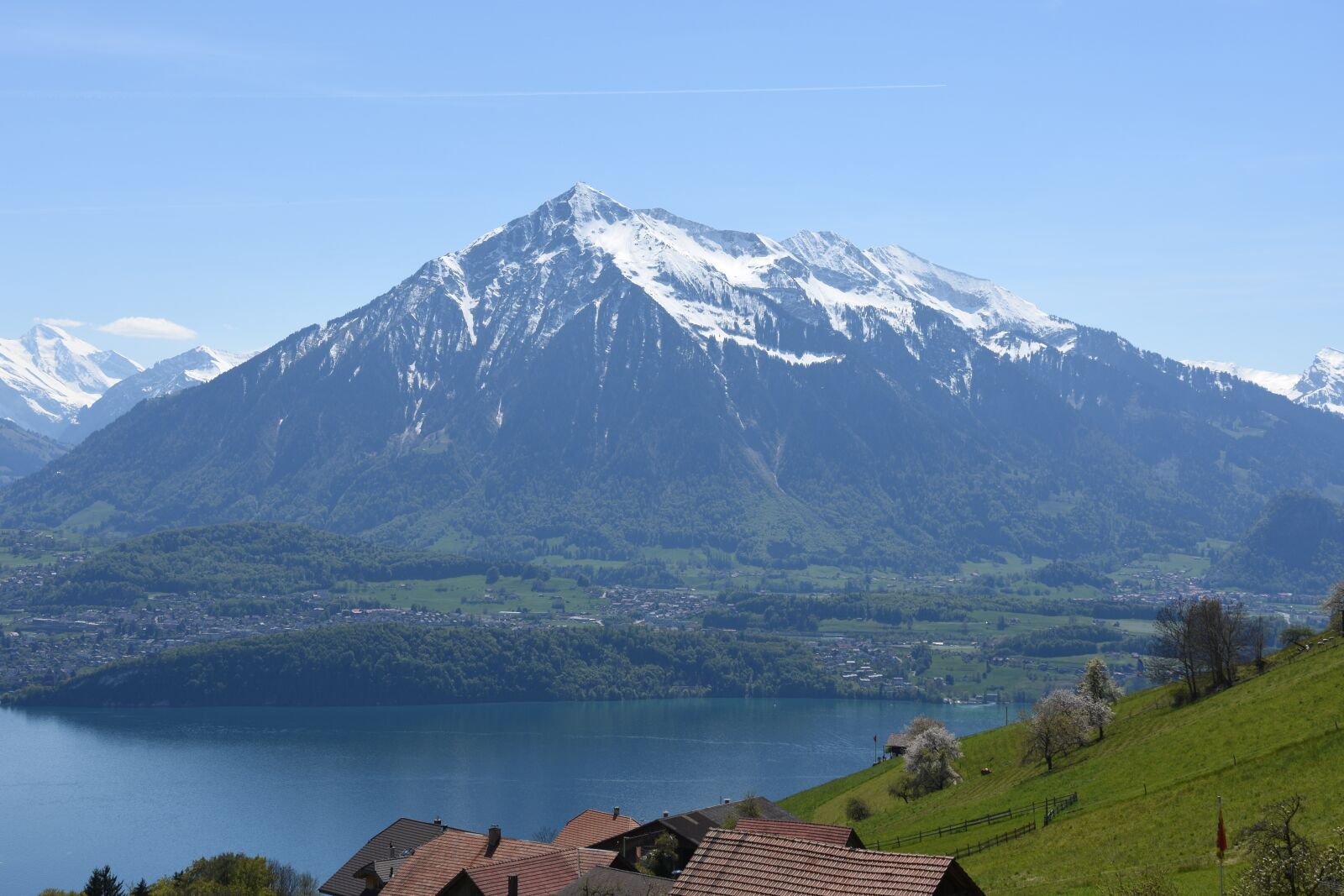 Nikon D7200 sample photo. Sneezing, lake thun, bernese photography