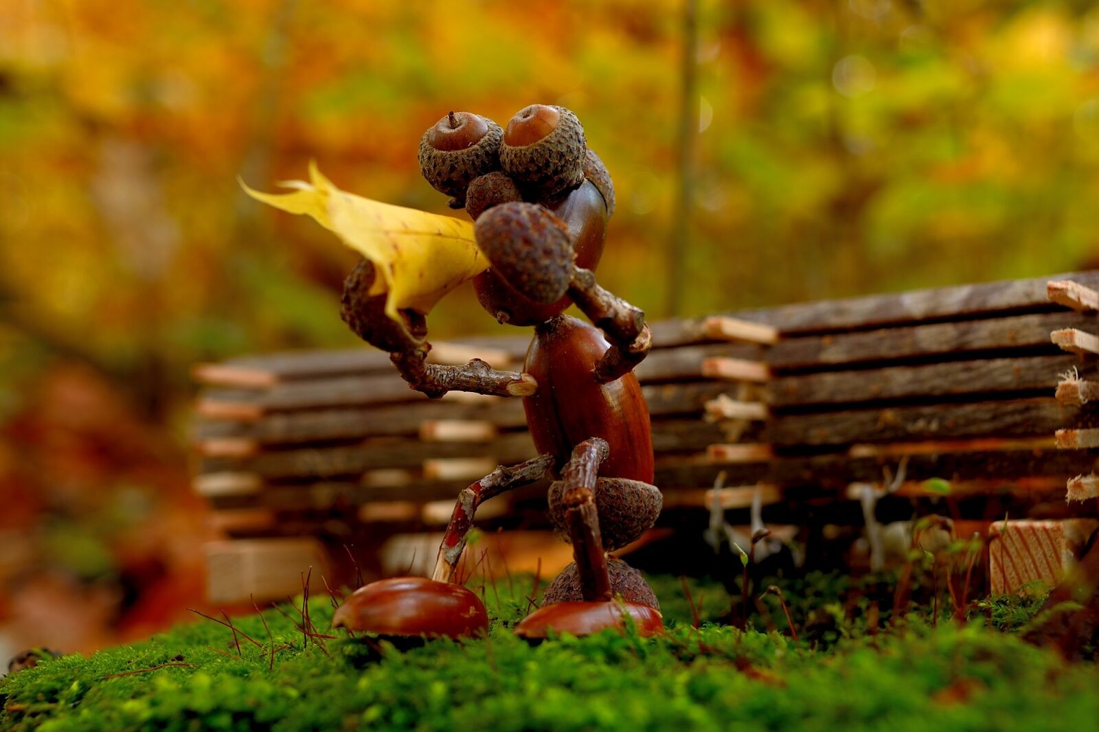 Nikon D5200 sample photo. Smoke pot, nature, wood photography