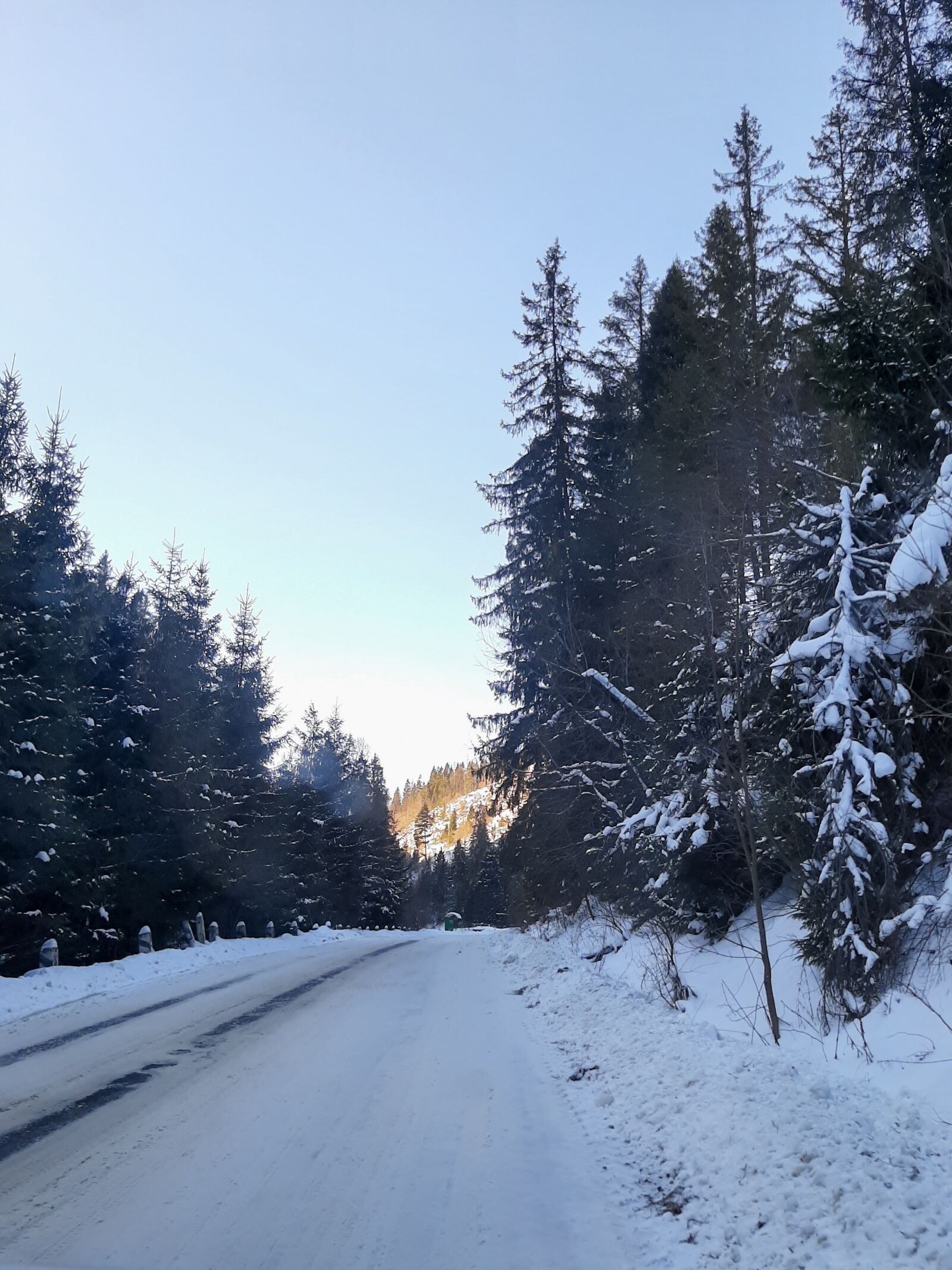 Samsung Galaxy A50 sample photo. Forest, mountains, the carpathians photography