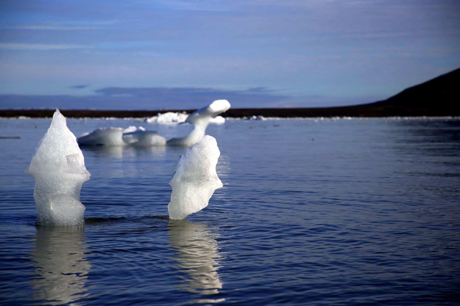 Canon EF 24-105mm F4L IS II USM sample photo. Polar, arctic, cold photography