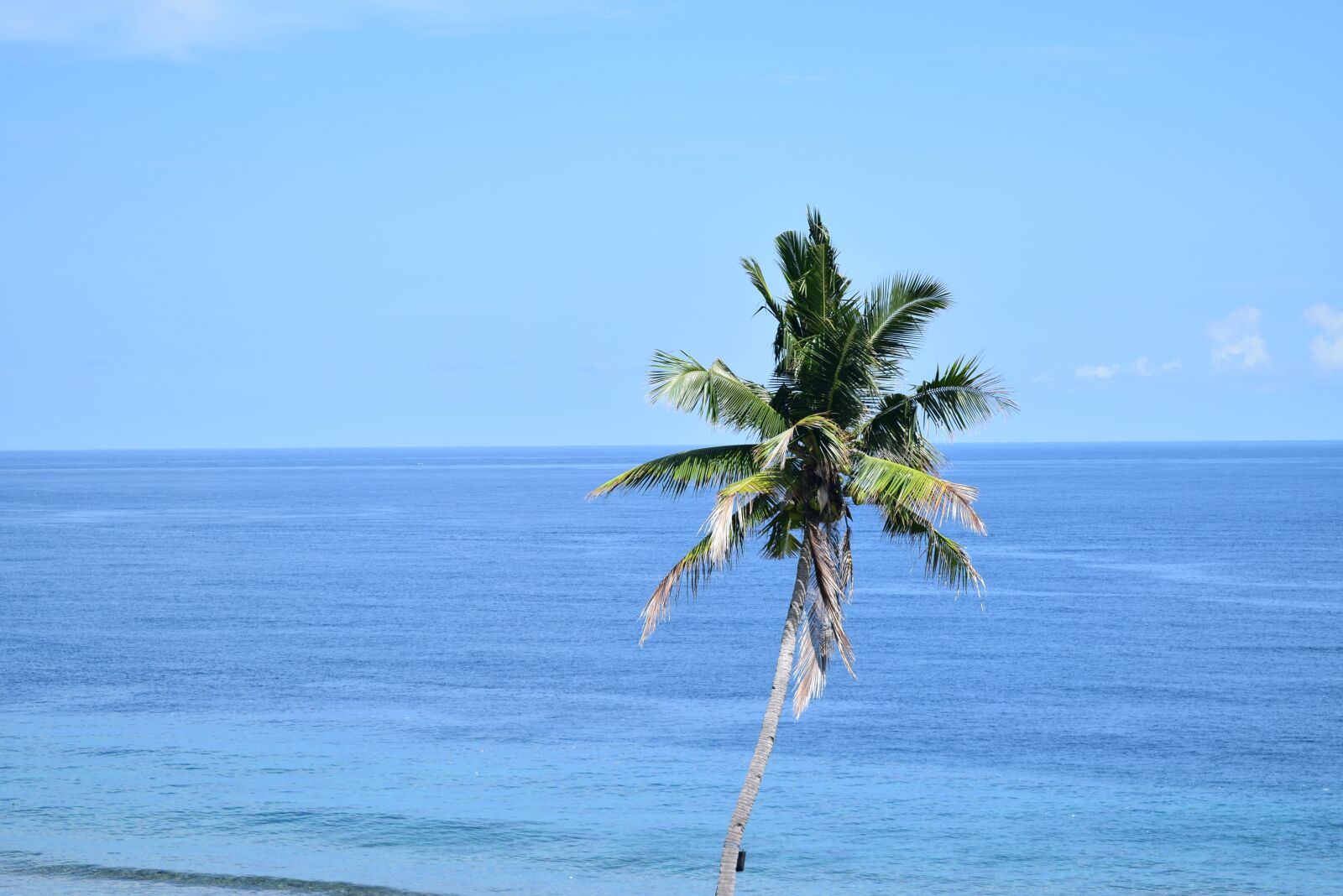 Nikon D3300 sample photo. The sea, coconut trees photography