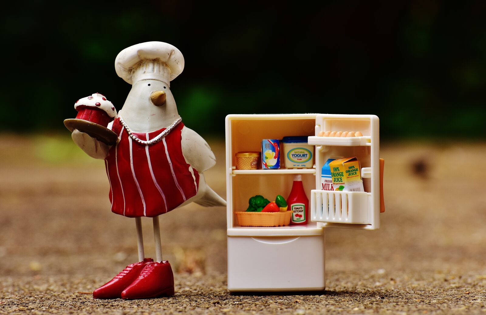 Nikon D7200 sample photo. Bird, bake, cook photography