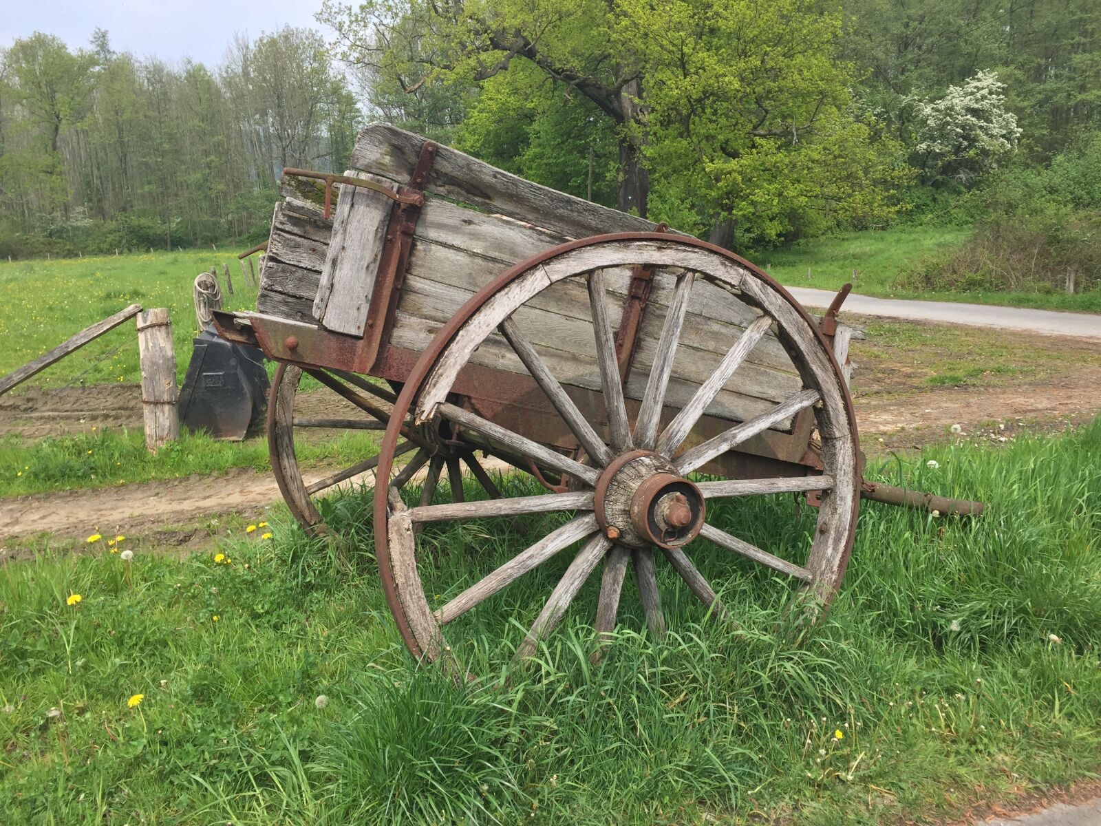 Apple iPhone 6 sample photo. Coach, horse drawn carriage photography