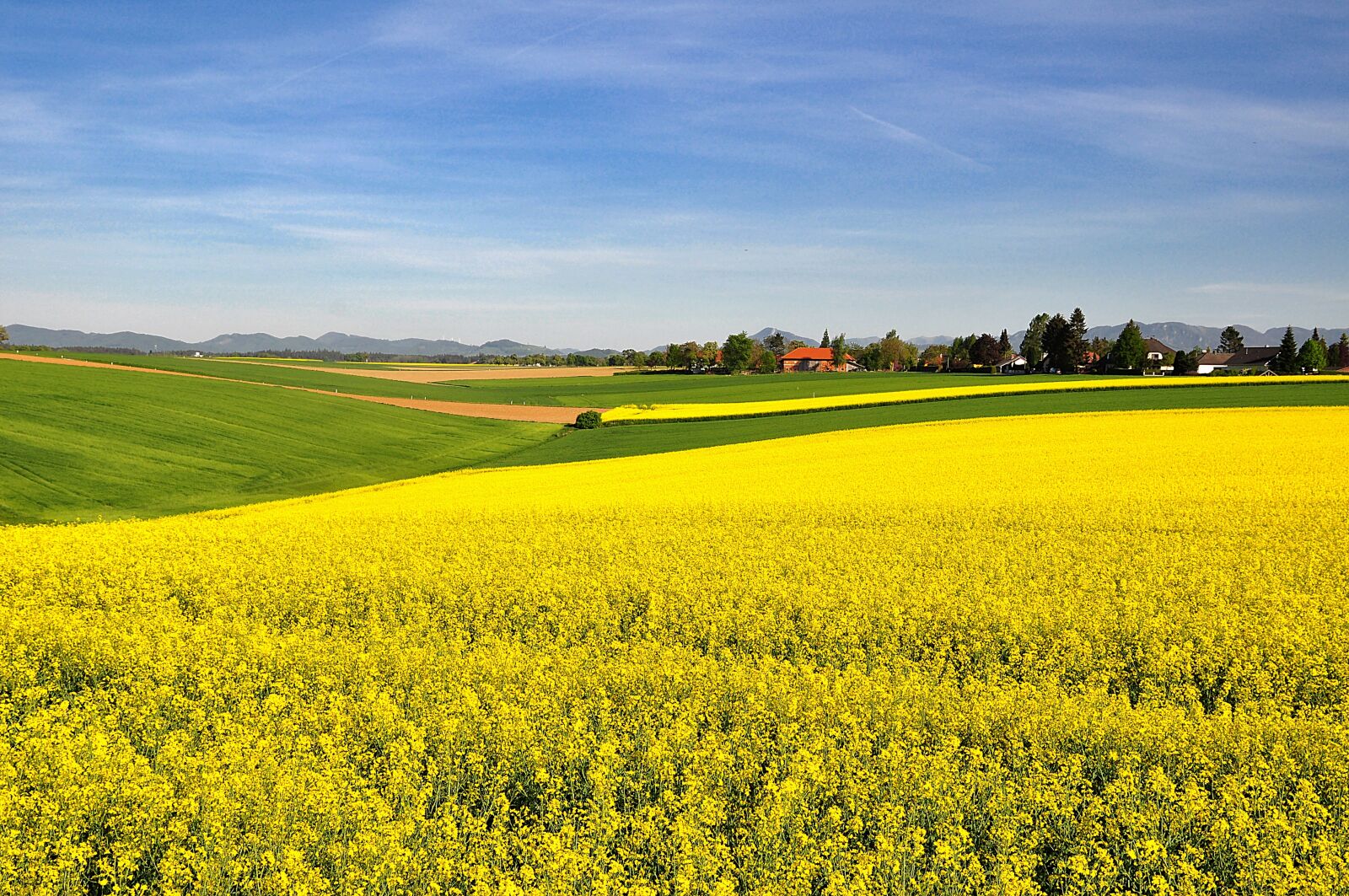 Nikon D90 sample photo. Nature, landscape, spring photography