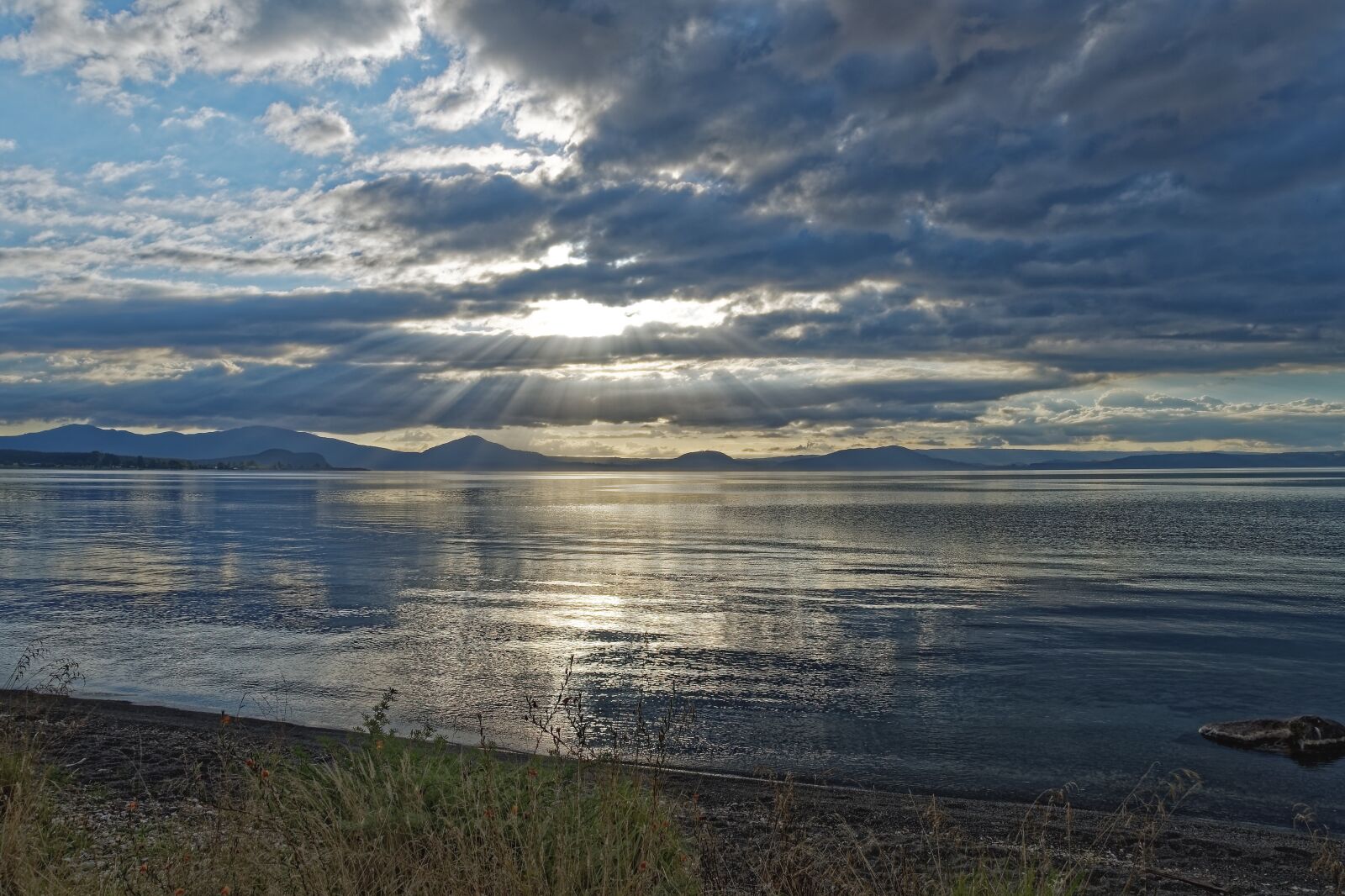 Nikon D500 sample photo. New zealand, lake taupo photography