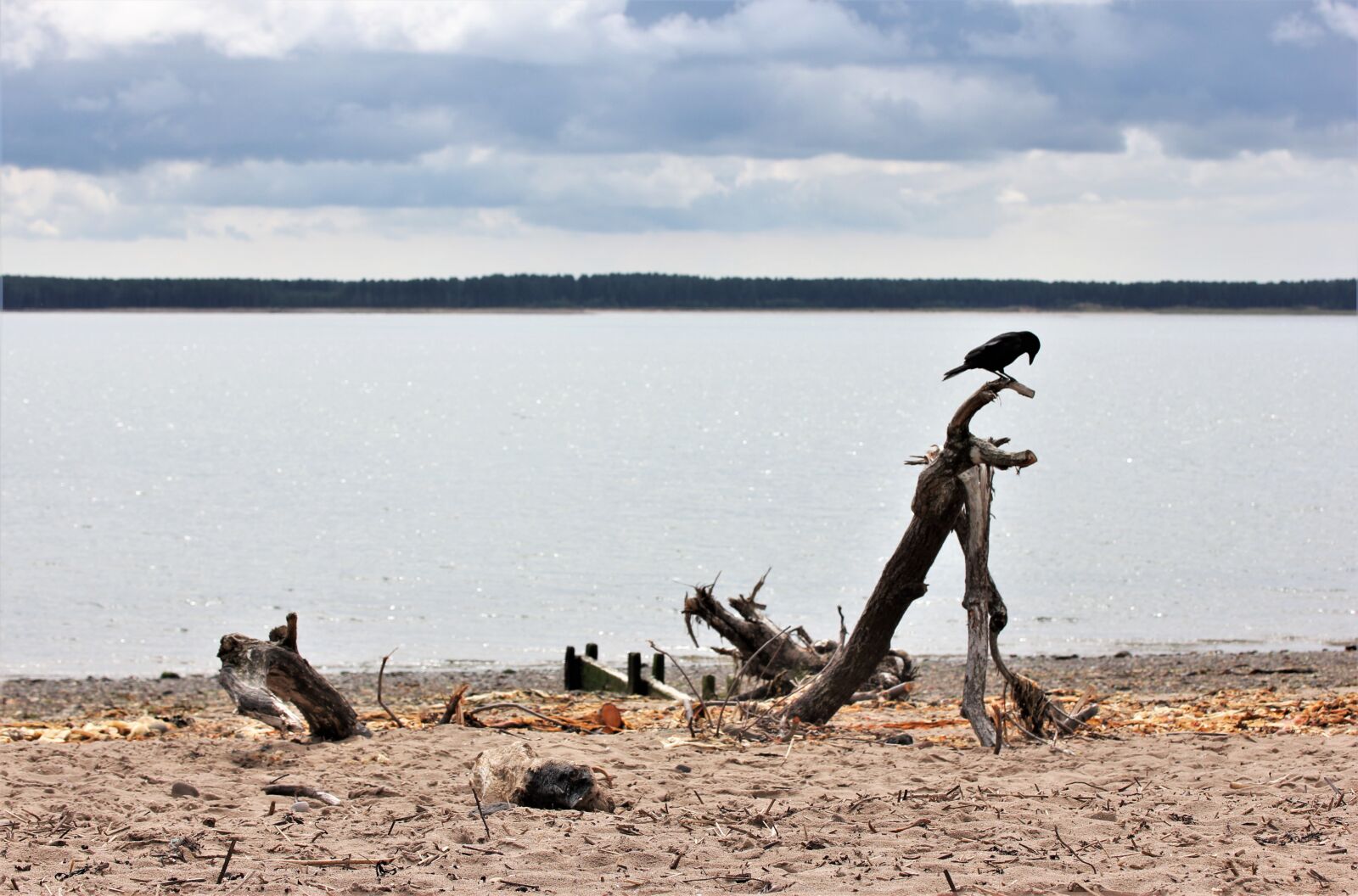 Canon EOS 550D (EOS Rebel T2i / EOS Kiss X4) sample photo. Beach, river, water photography