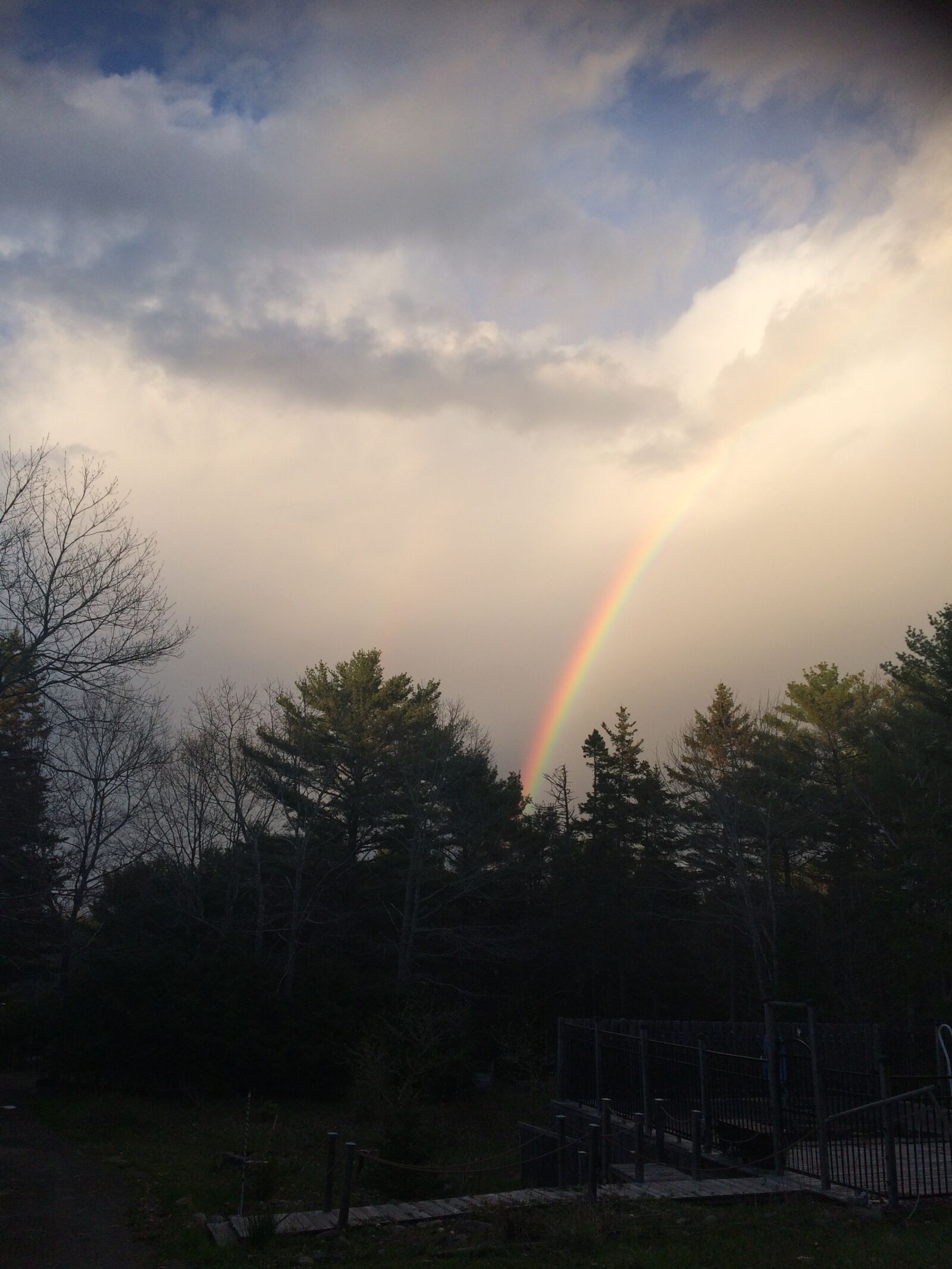 Apple iPhone 5s sample photo. Nature, nova, scotia, rainbow photography