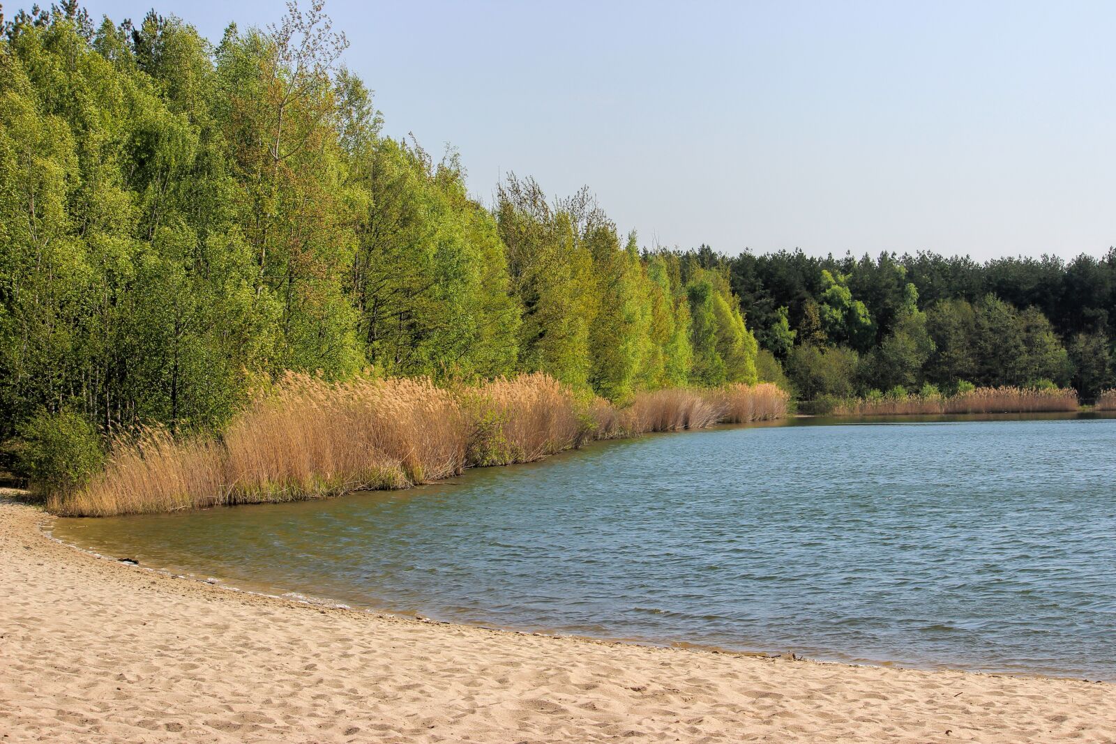 Canon EOS 600D (Rebel EOS T3i / EOS Kiss X5) sample photo. Waters, nature, sky photography