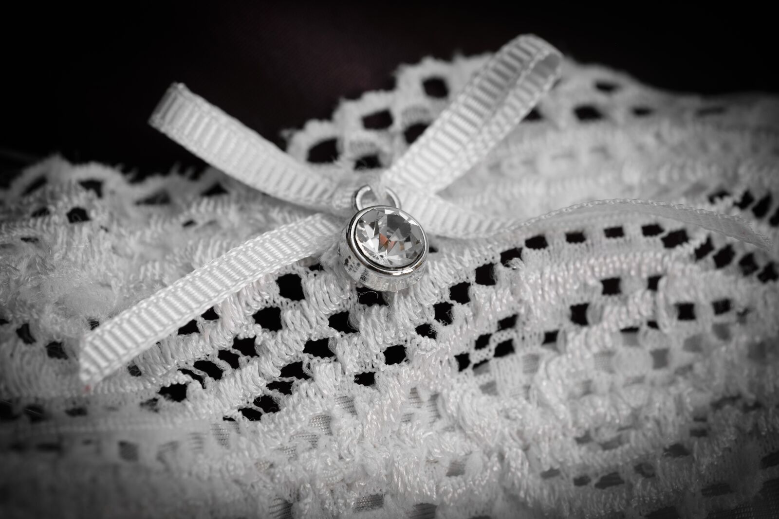 Fujifilm X-T2 + Fujifilm XF 80mm F2.8 R LM OIS WR Macro sample photo. Loop, brilliant, great photography