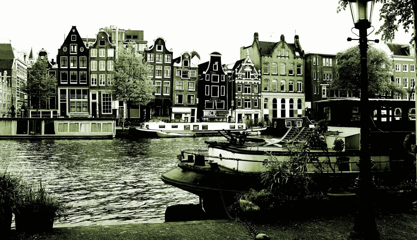 Canon EOS 600D (Rebel EOS T3i / EOS Kiss X5) sample photo. Black, white, amsterdam photography