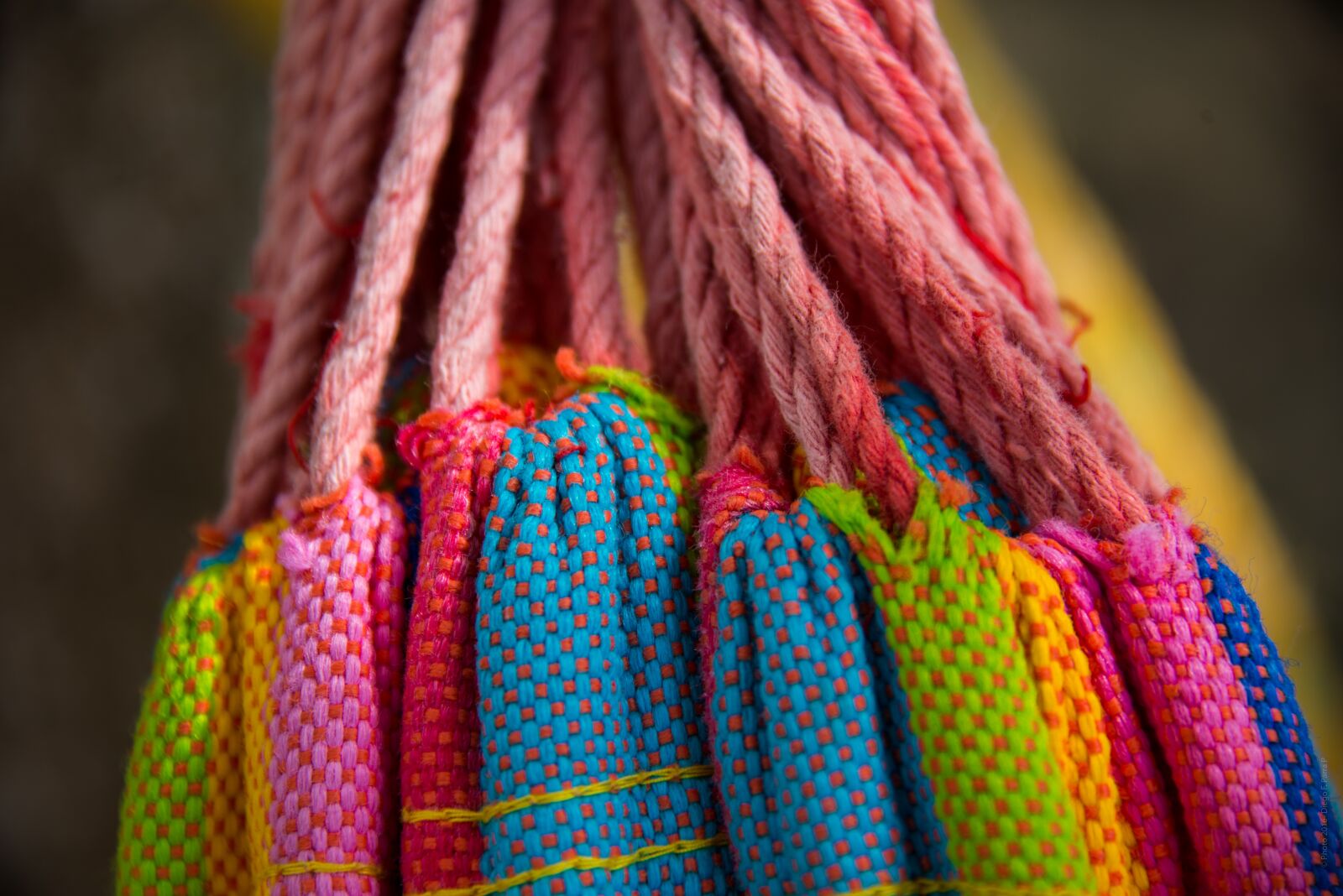 Nikon D800 sample photo. Hammock, tie, rope photography