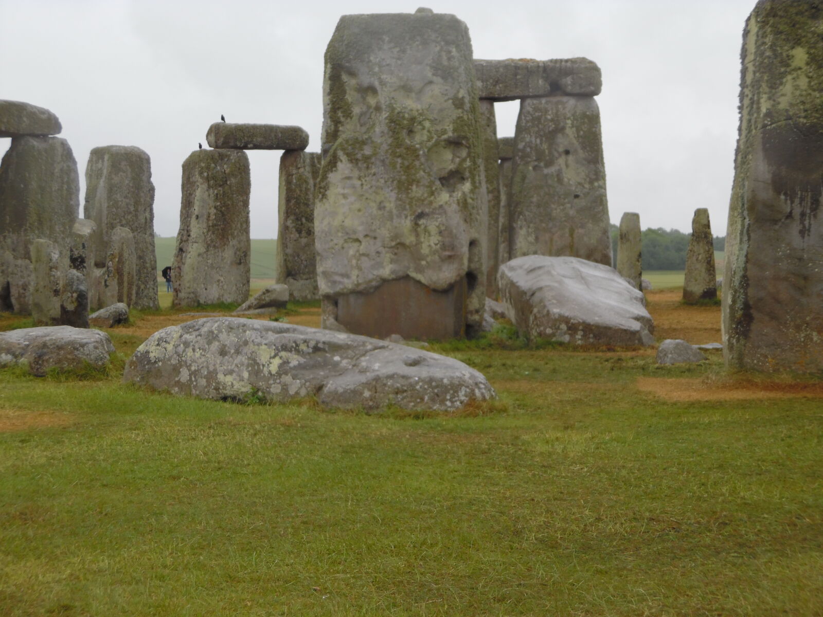 Samsung WB35F/WB36F/WB37F sample photo. Druids, england, salisbury, standing photography
