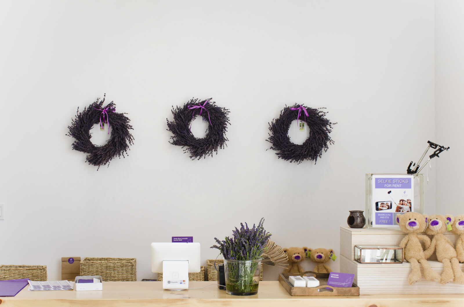 Nikon D7000 sample photo. Accessories, bears, healthy, lavender photography