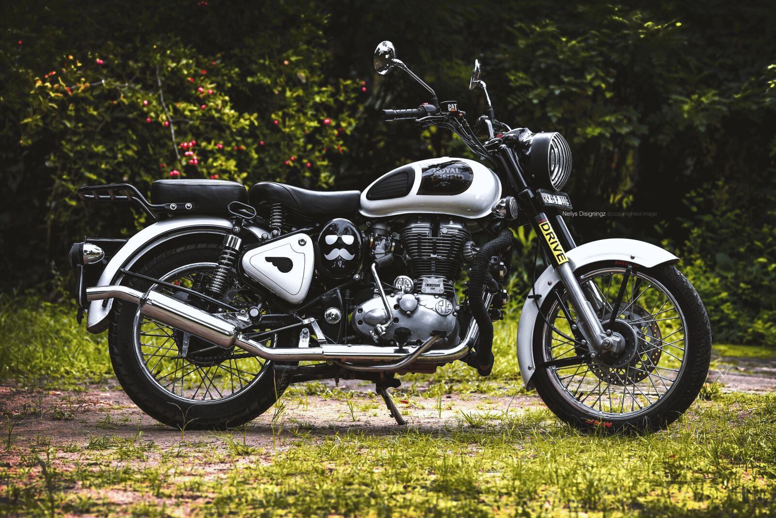 Nikon D500 sample photo. Bullet ride, bike, bullet photography
