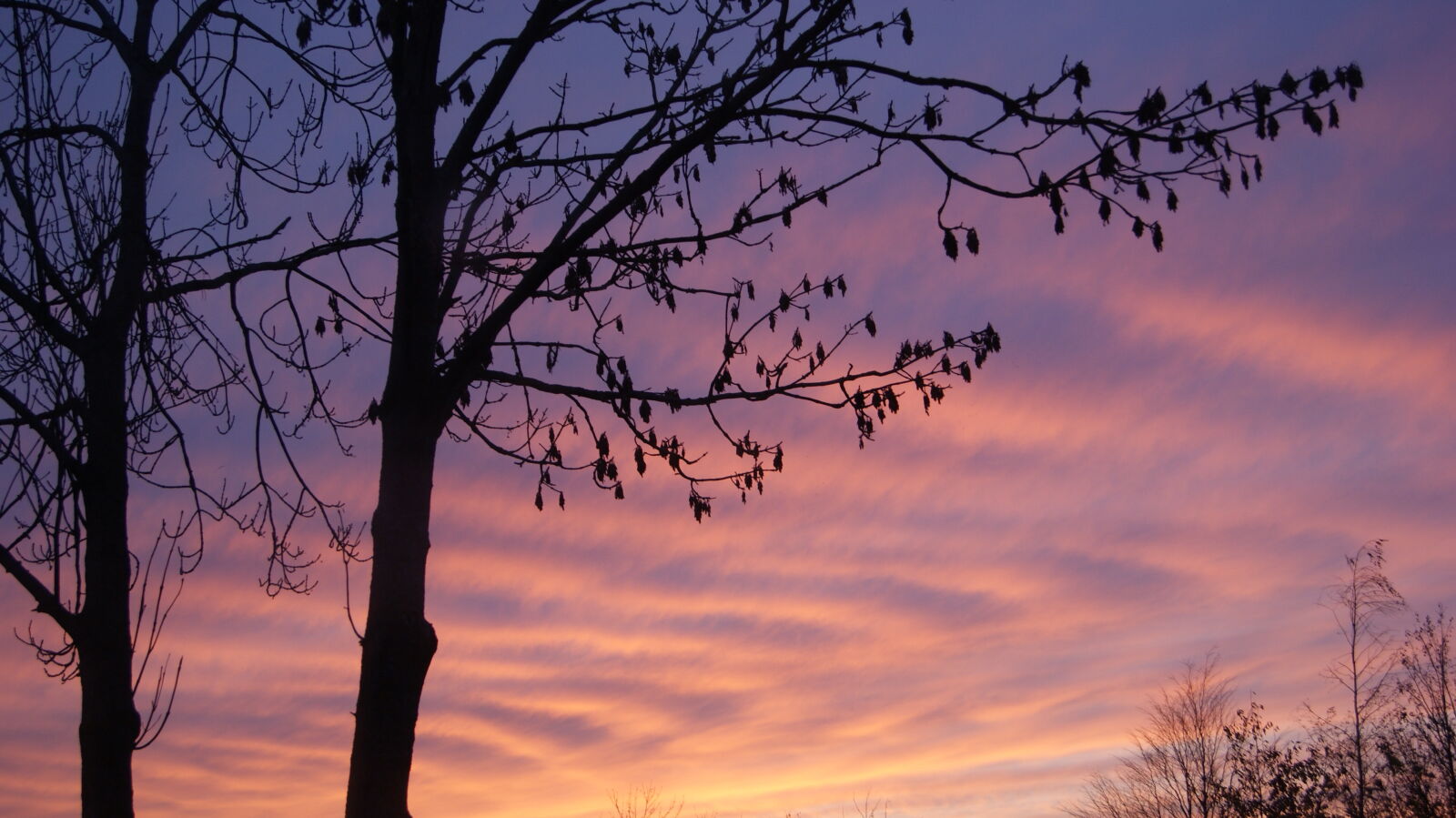 Sony Alpha DSLR-A230 sample photo