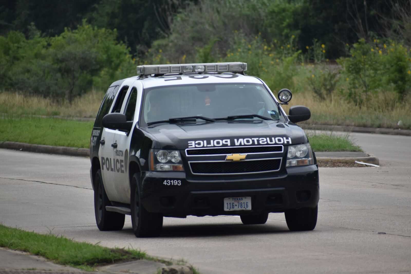 Nikon D3500 sample photo. Hdp, police cruiser, suv photography